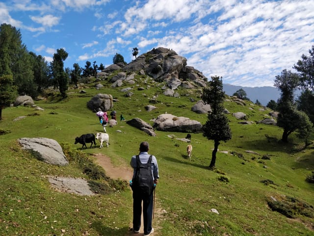 Churdhar Trek Trail