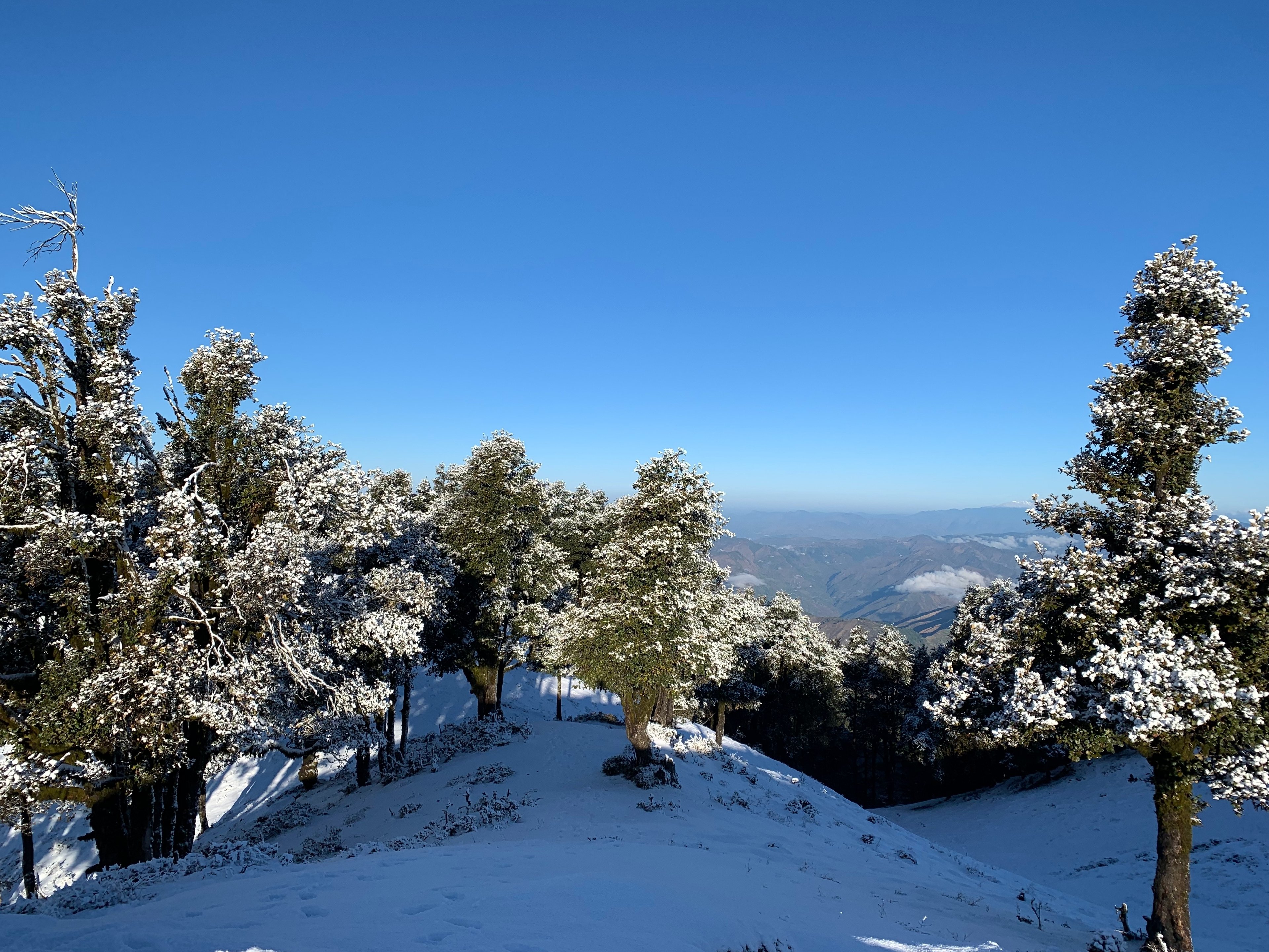 d21fa60d-69c1-4e06-1f7b-c0307e597100