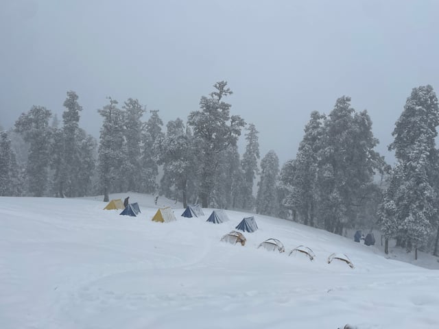 Kedarkantha Trek snow
