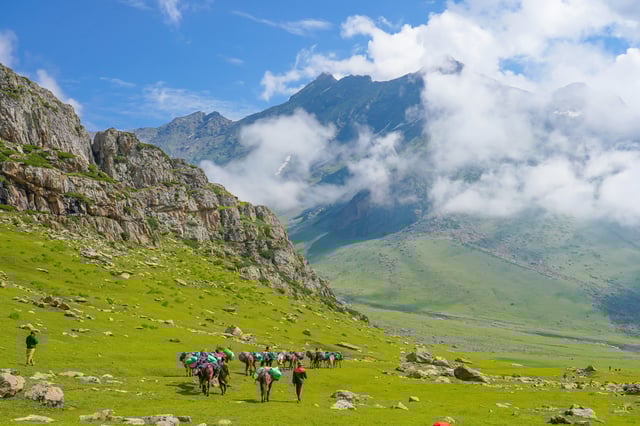 Naranag Mahlish Trek Trekyaari