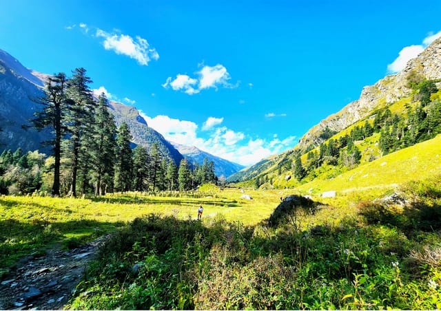 Har Ki Dun Trek Lush Green Trail