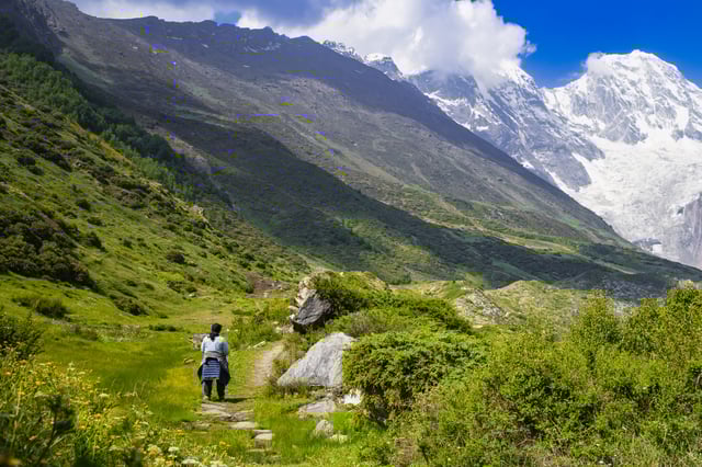 valley of flowers ghangaria