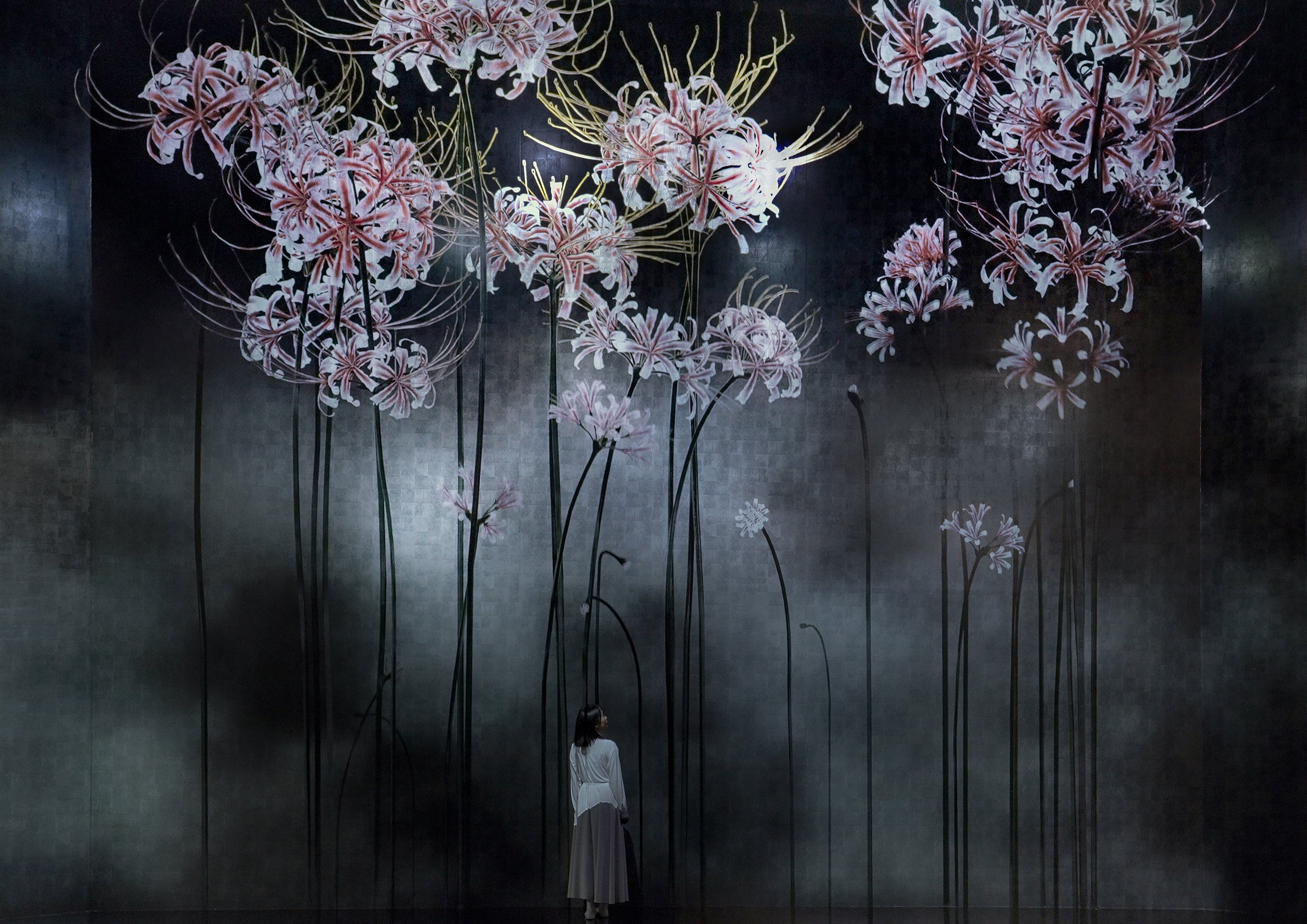 内に秘めた輝き / Silent Radiance Within | teamLab / チームラボ