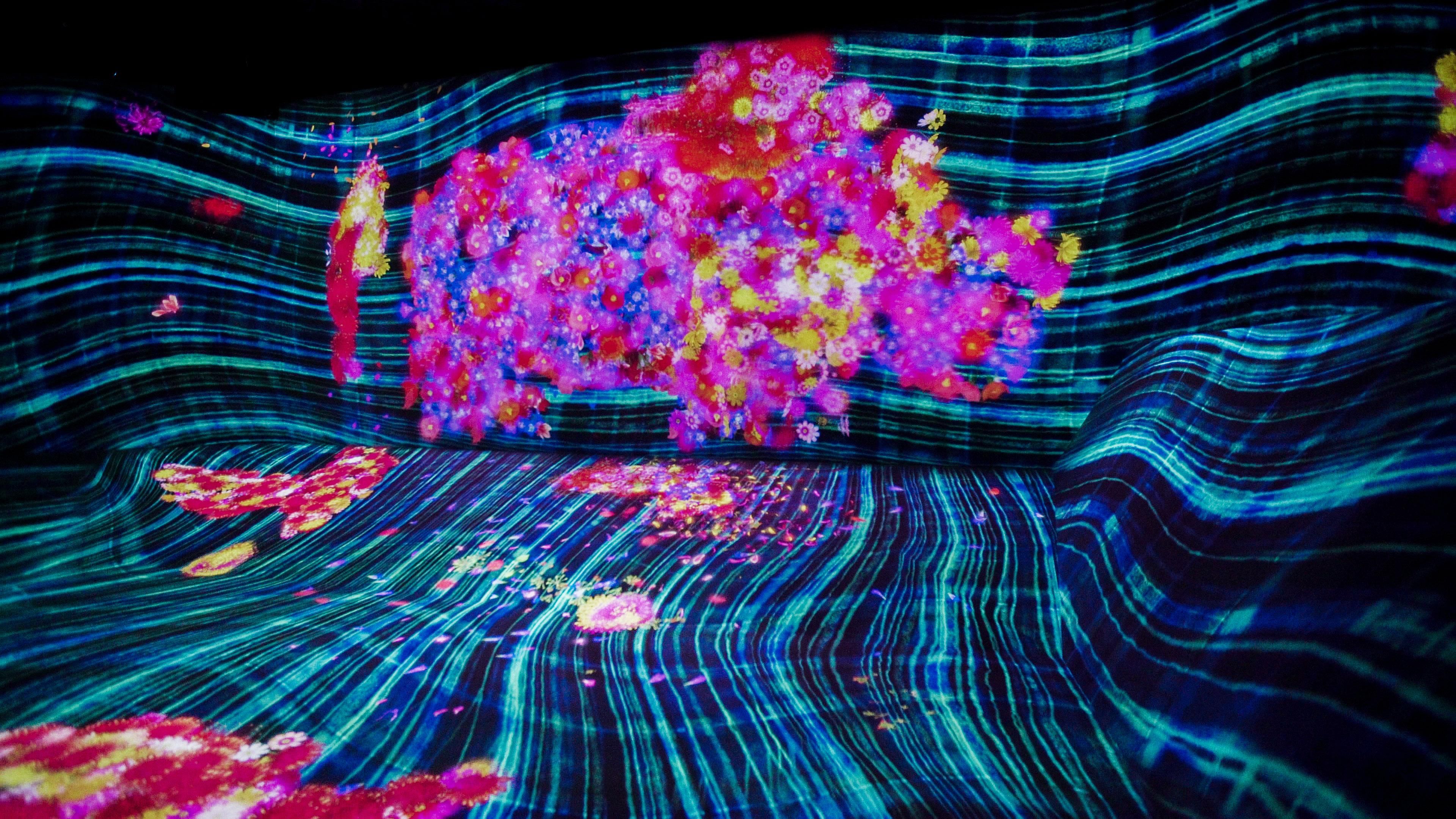 꽃과 함께 살아가는 동물들 II / Animals of Flowers, Symbiotic Lives II | teamLab