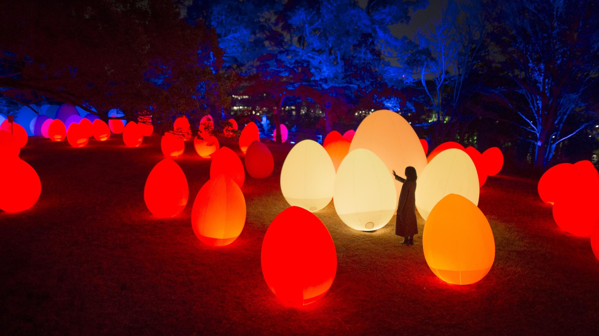 呼応する、たちつづけるものたちと森 / Resisting and Resonating