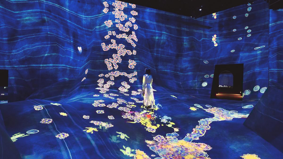 width=1200,format=jpeg