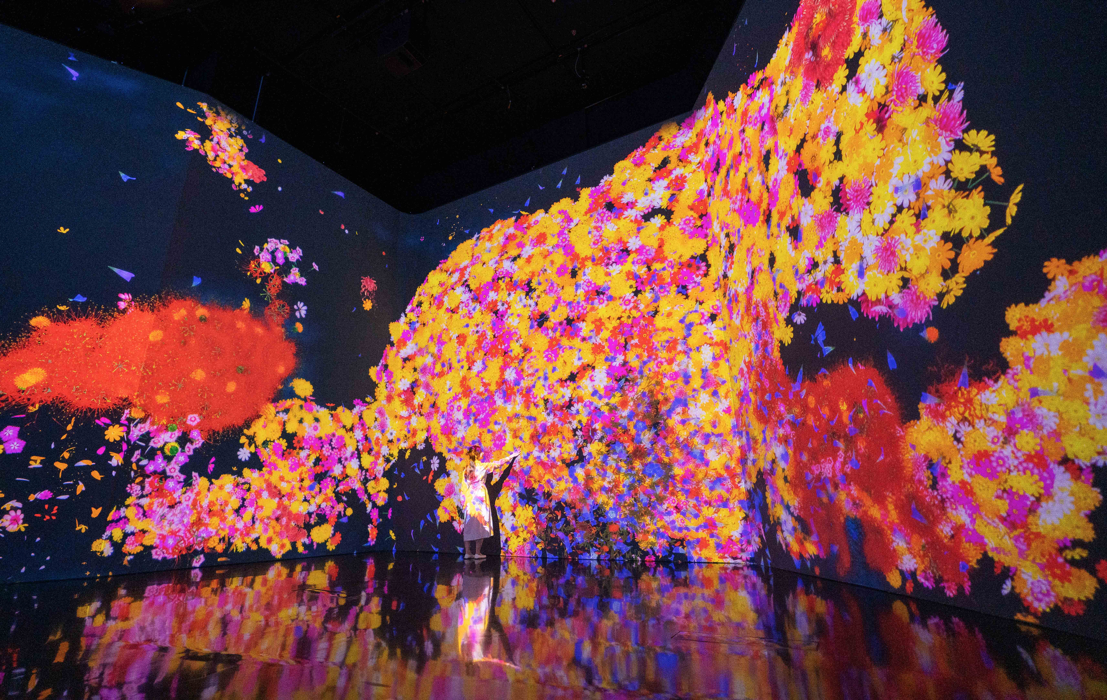 展示テーマ画像