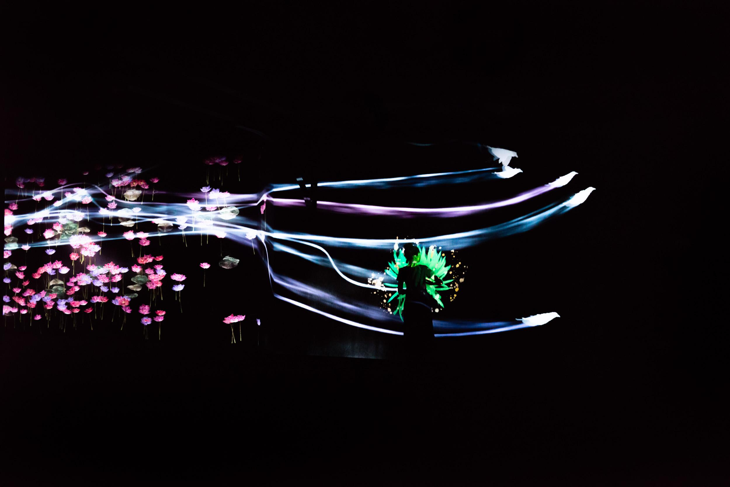 展示テーマ画像