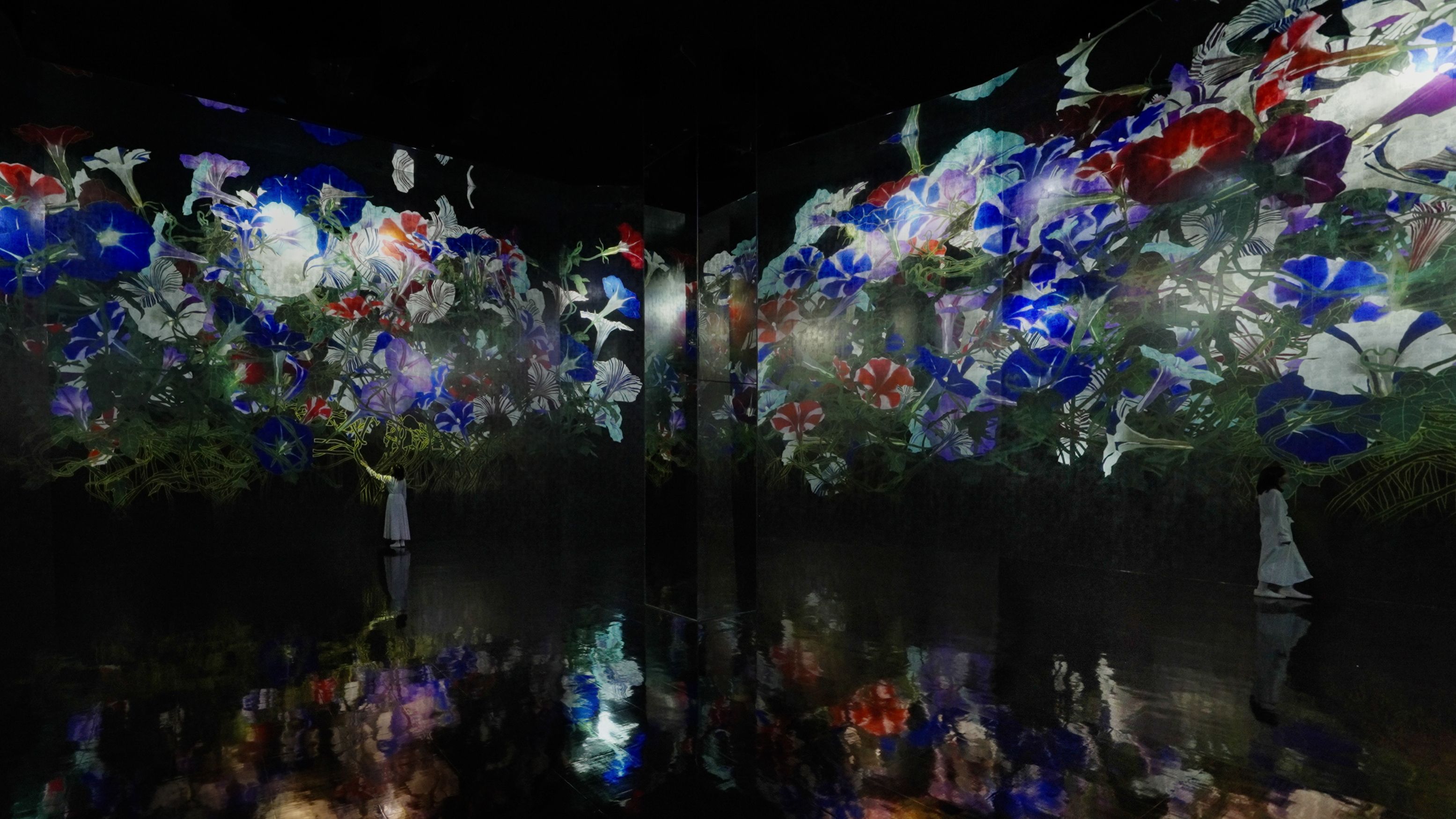 ぽんかん⑧ 巡回展　アートブラフG 京都会場限定 ぽんかん⑧ 巡回展 アートブラフG 京都会場限定