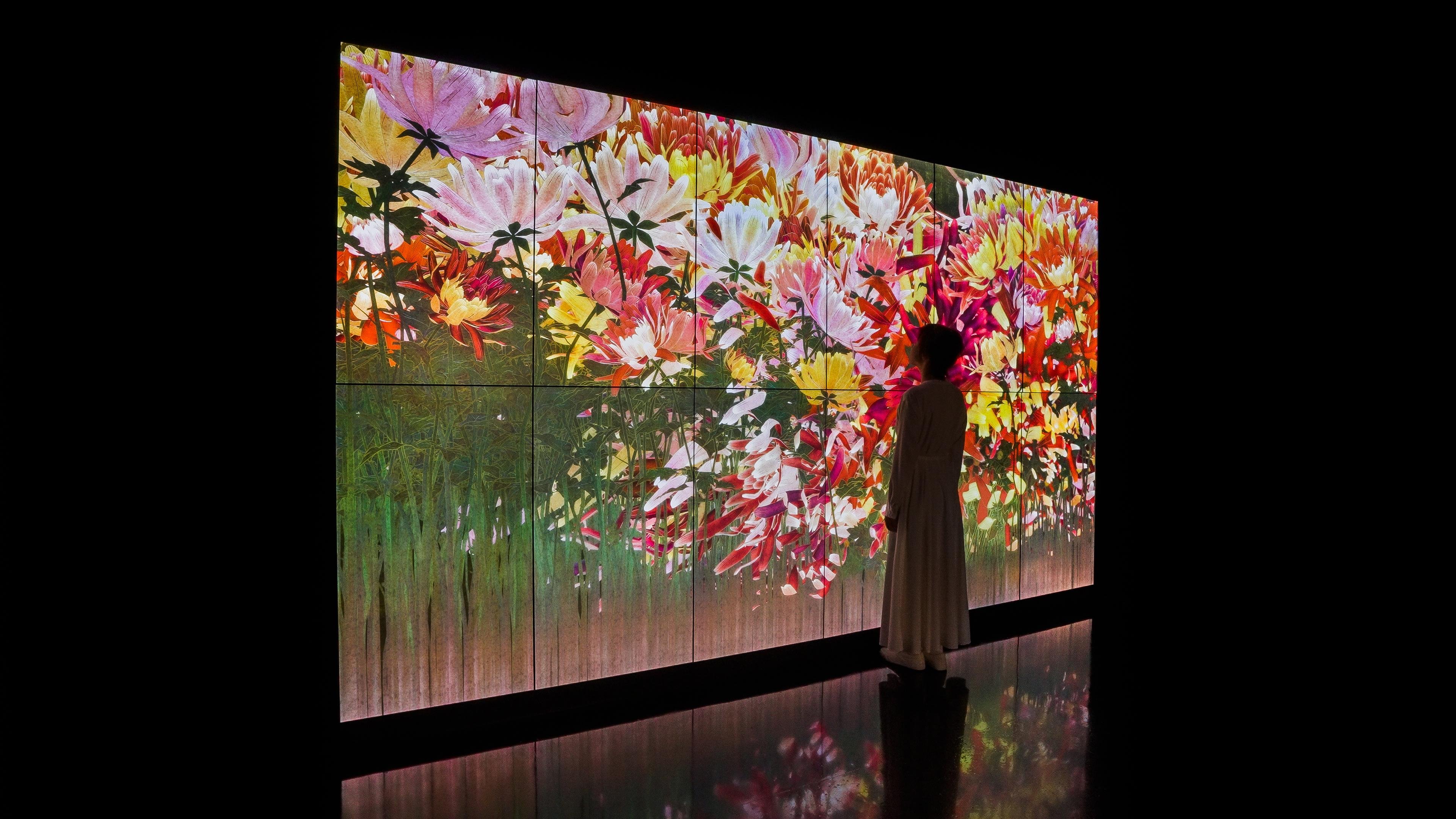 Proliferating Immense Life - Dawn and Dusk, A Whole Year per Year