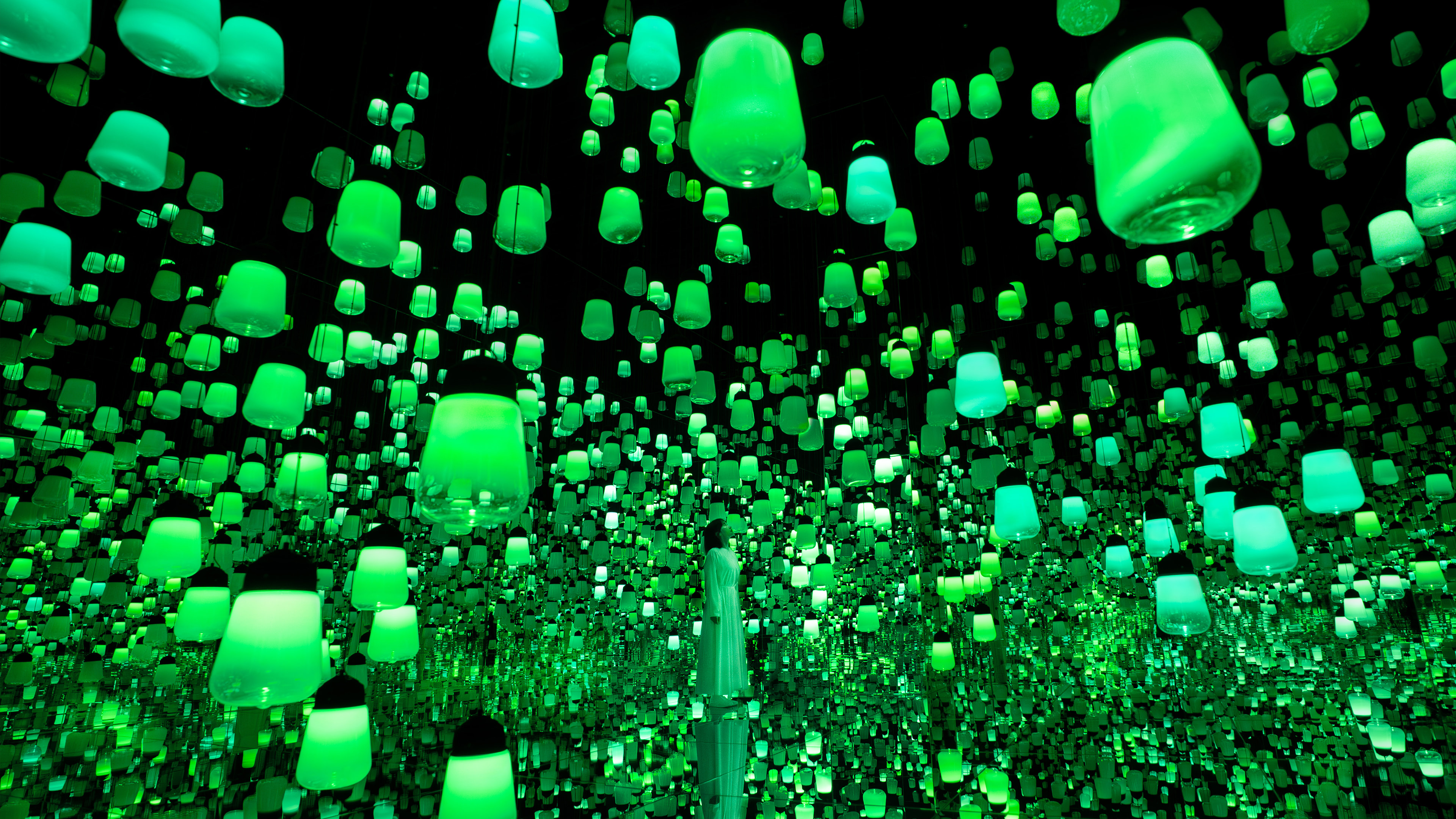 呼応するランプの森：One Stroke - a Year in the Mountains / Forest