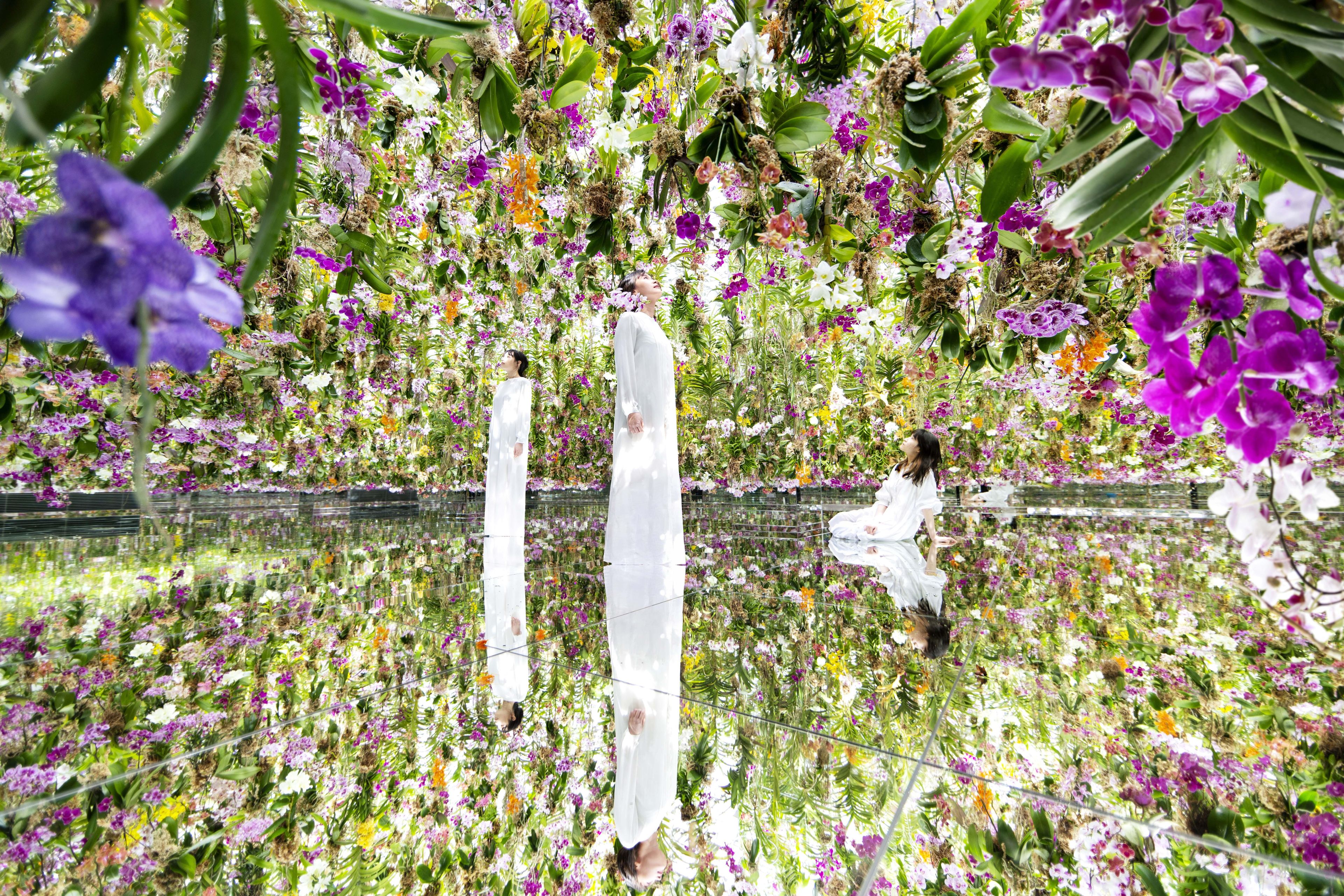 Floating Flower Garden: Flowers and I are of the Same Root