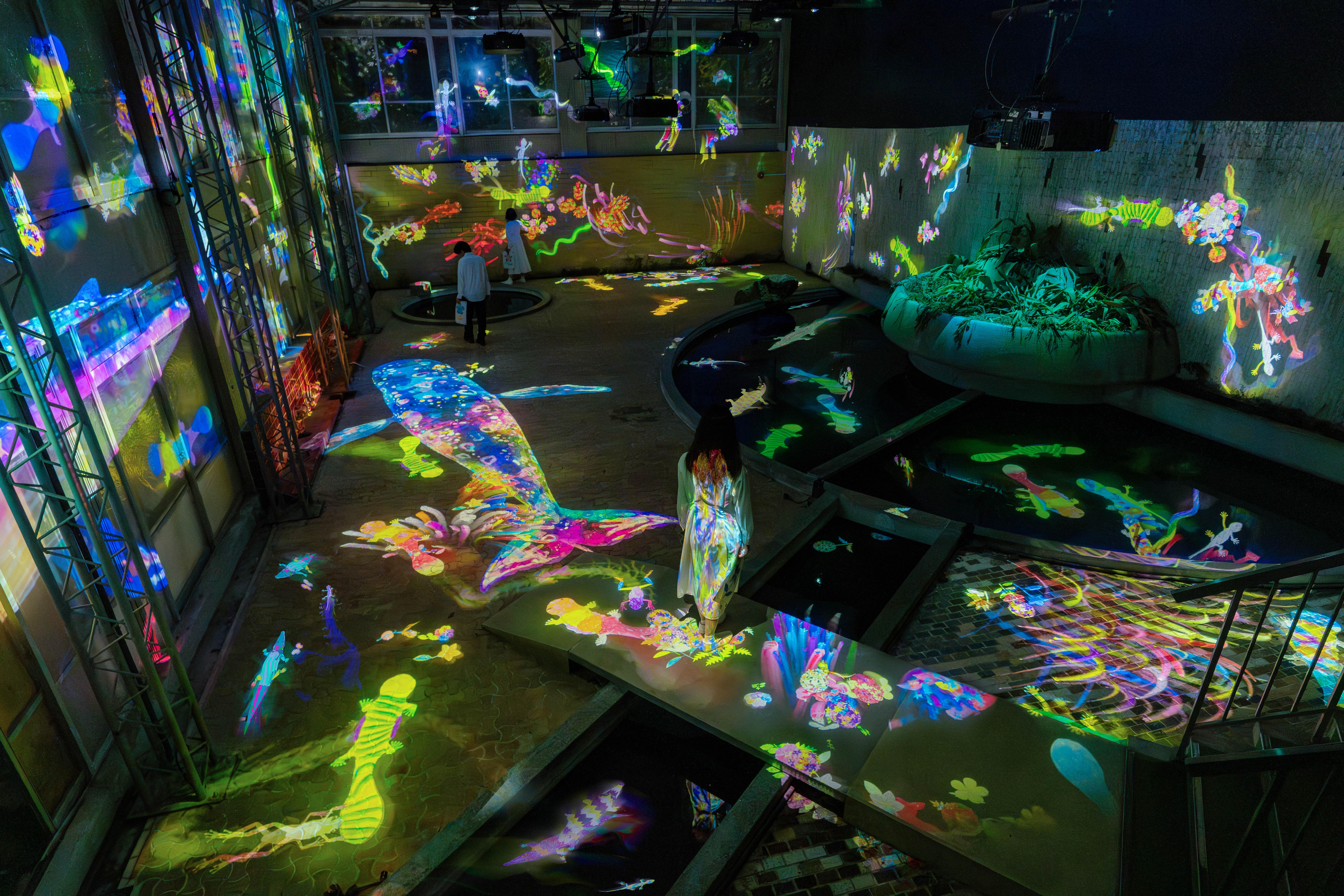teamLab: A Forest Where Gods Live, Ruins and Heritage - THE