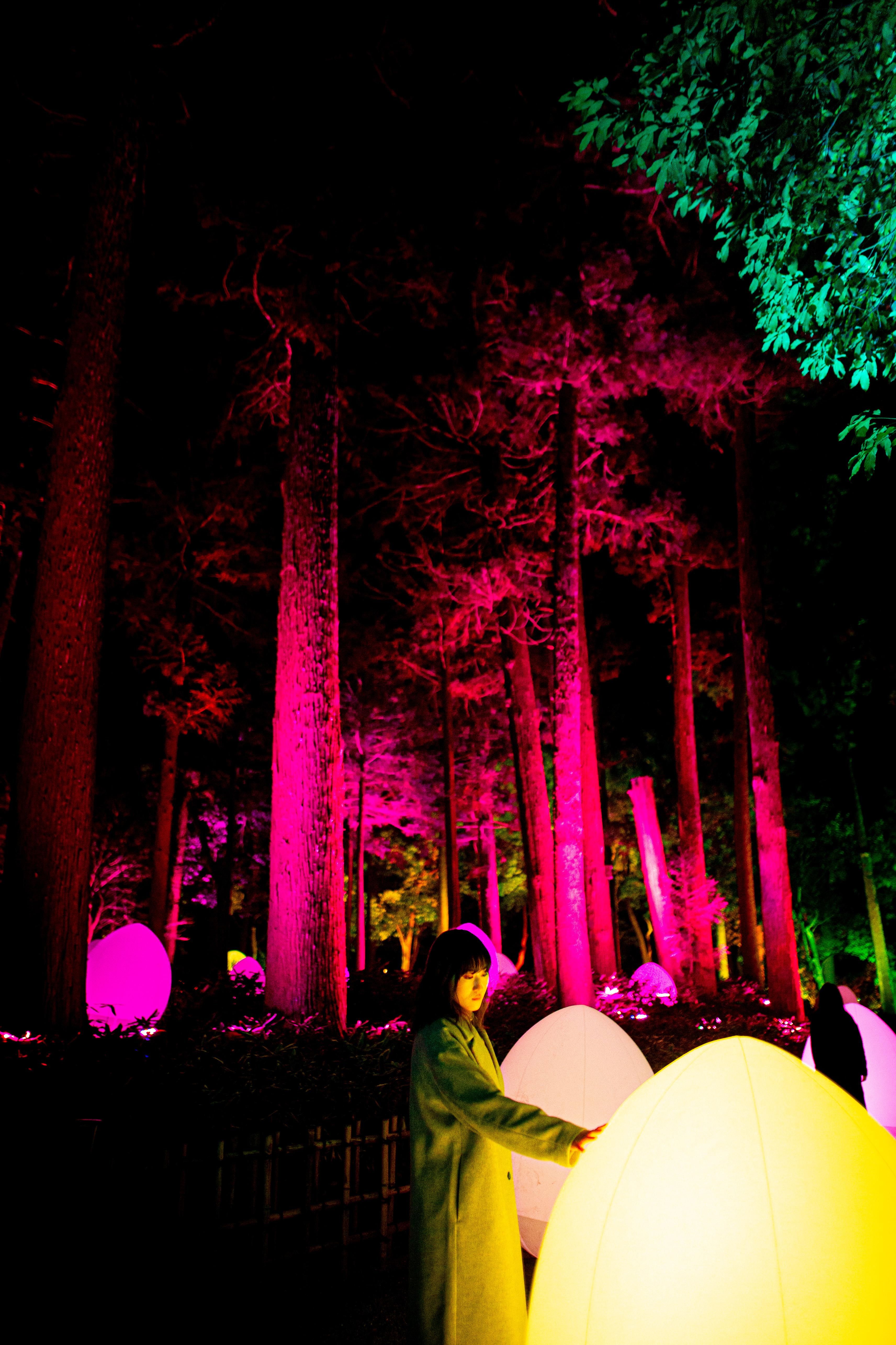 Autonomous Resonating Life and Resonating Giant Cedar Forest
