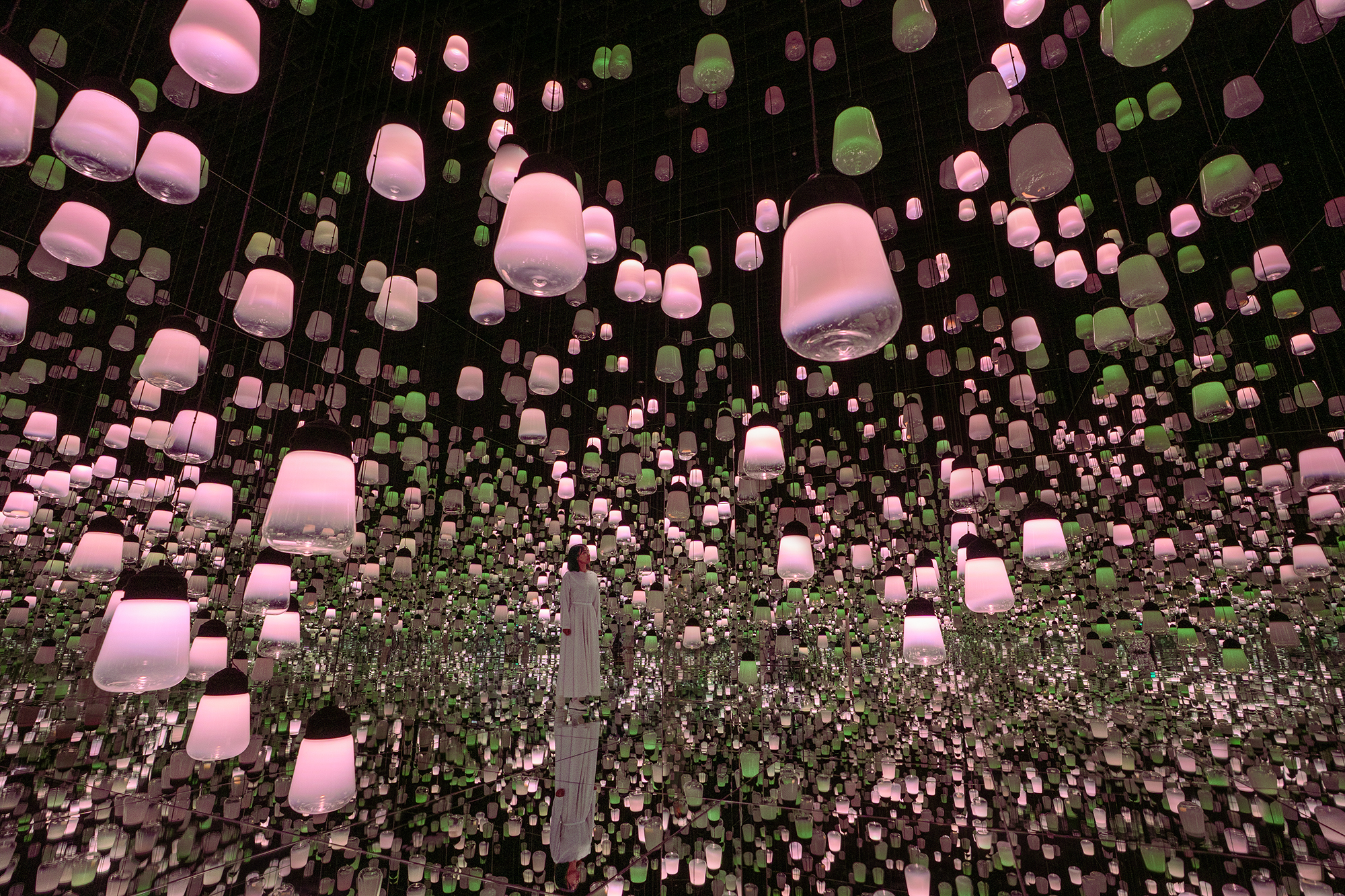 Forest of Resonating Lamps: One Stroke - a Year in the Mountains