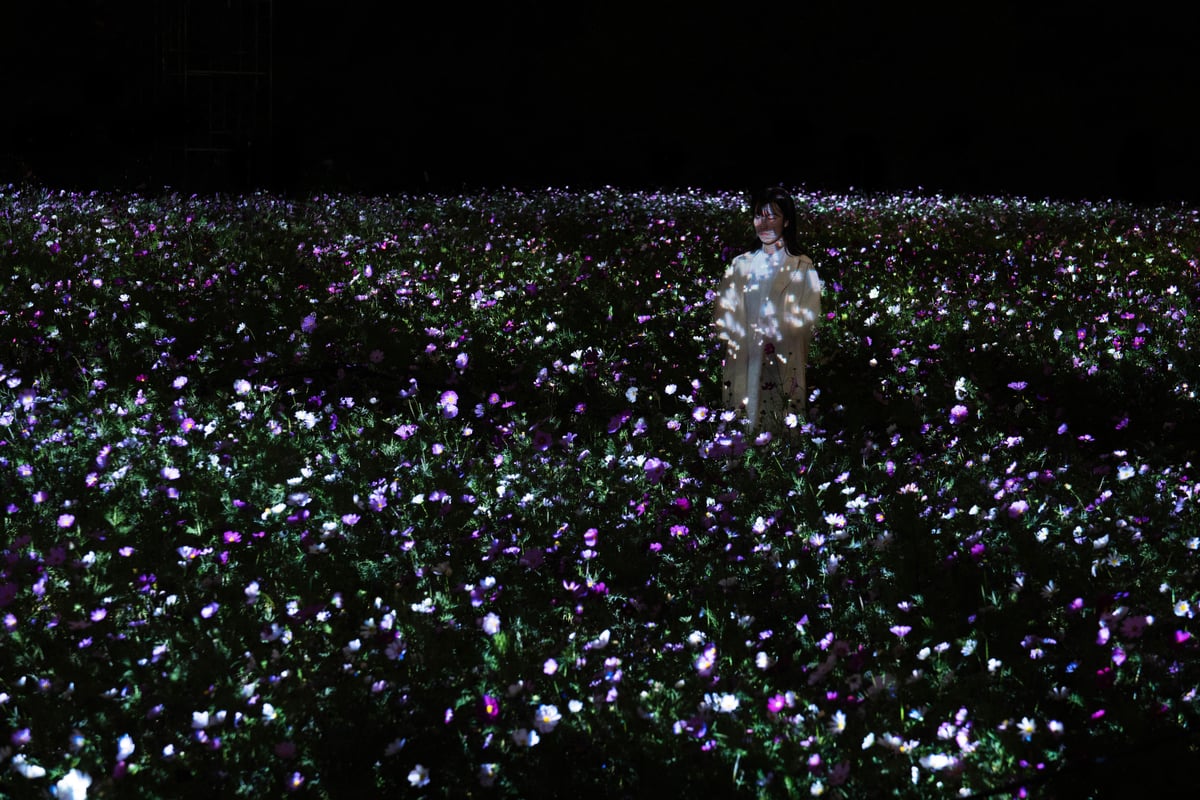 Life is Flickering Light Floating in the Dark - Cosmos | teamLab