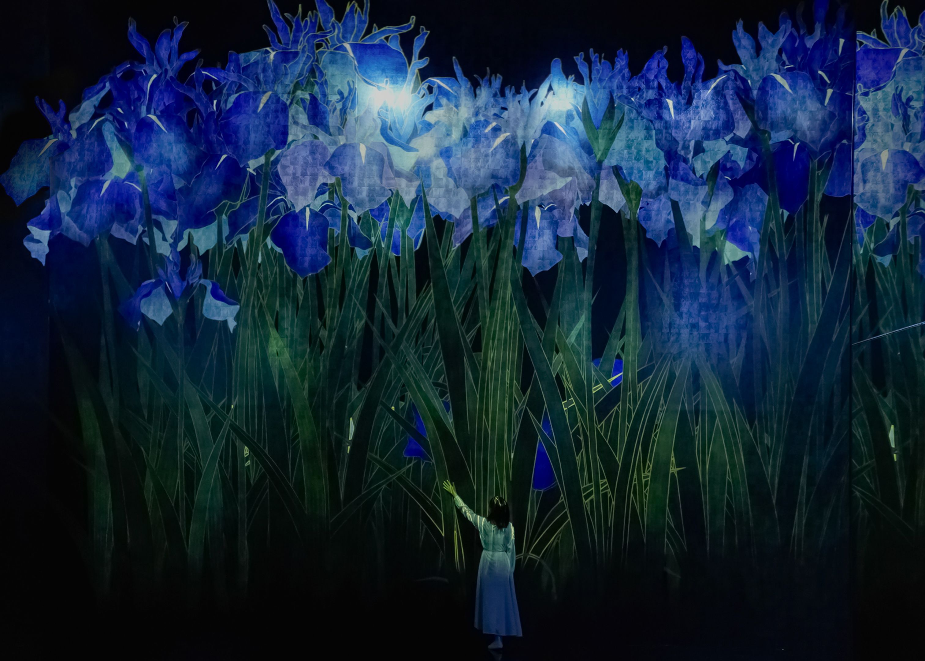 Untitled | teamLab