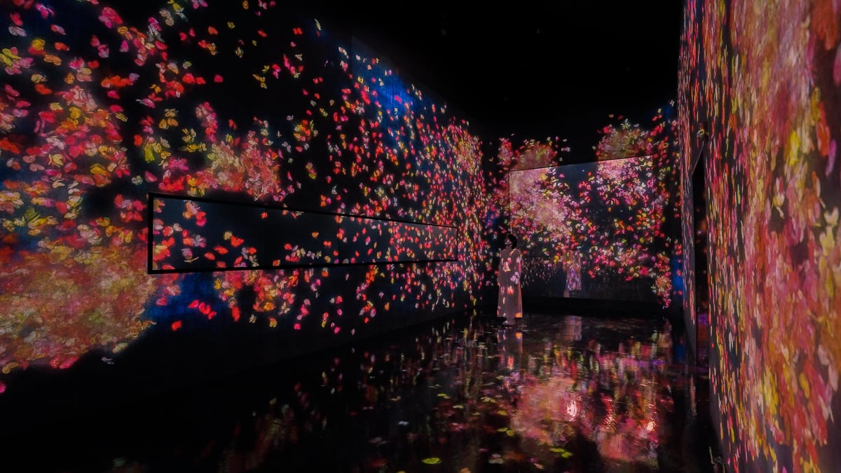 TeamLab: Transcending Boundaries | teamLab
