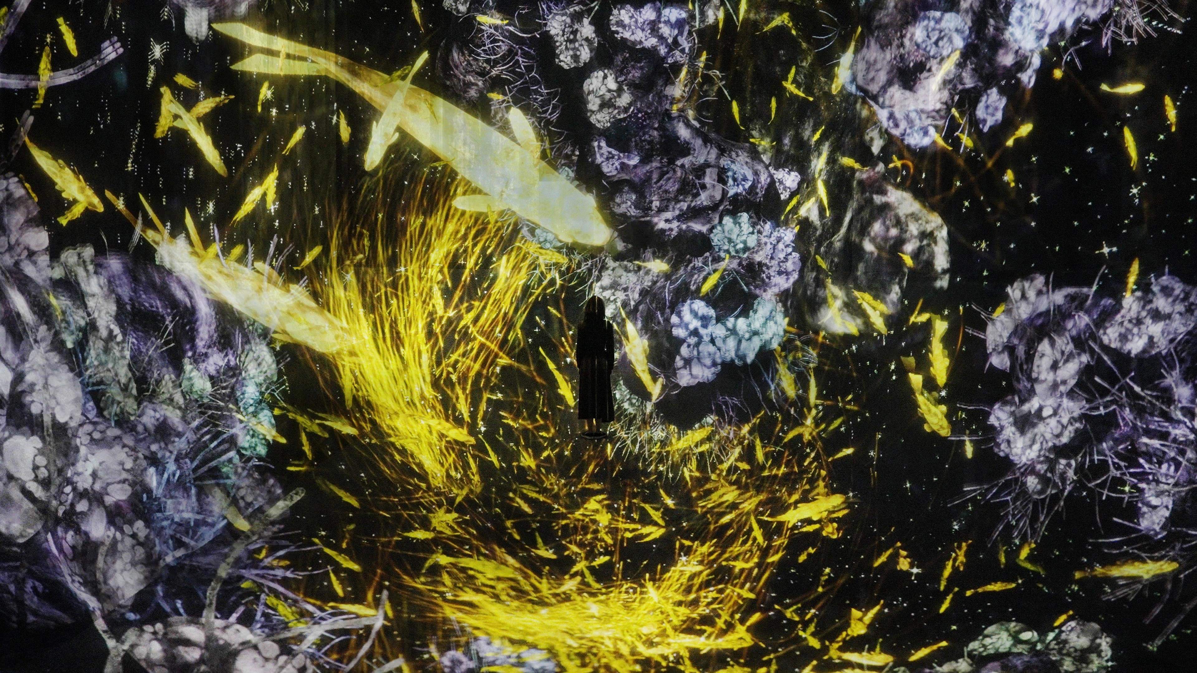 The Way of the Sea: 虚空の宇宙 / The Way of the Sea: Cosmic Void