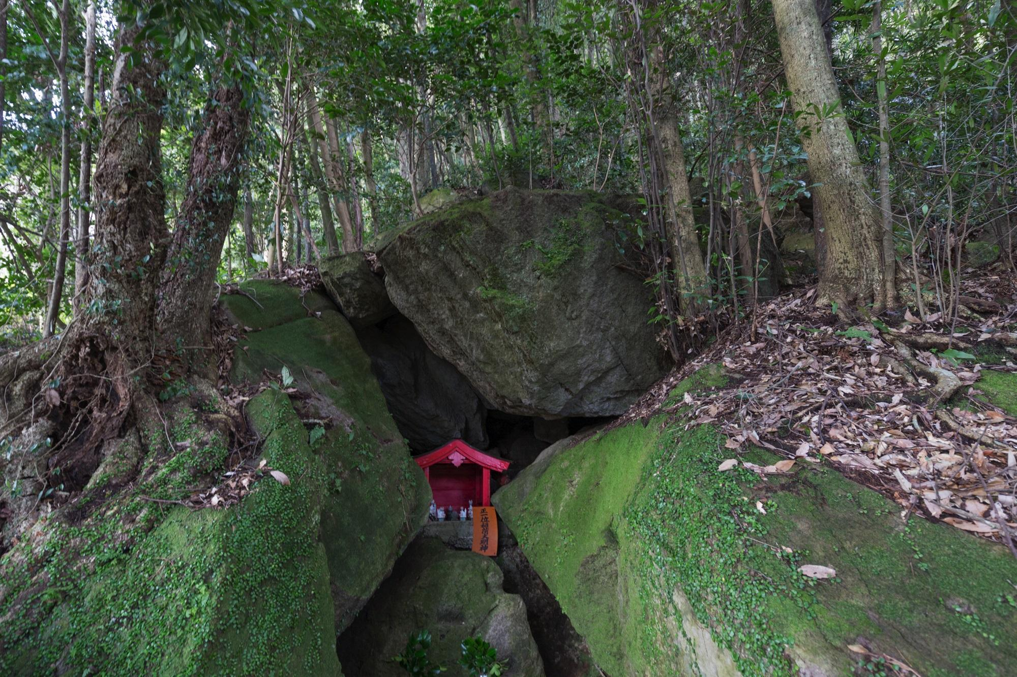 展示テーマ画像