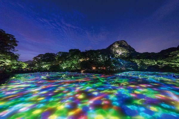 小舟と共に踊る鯉によって描かれる水面のドローイングと蓮の花