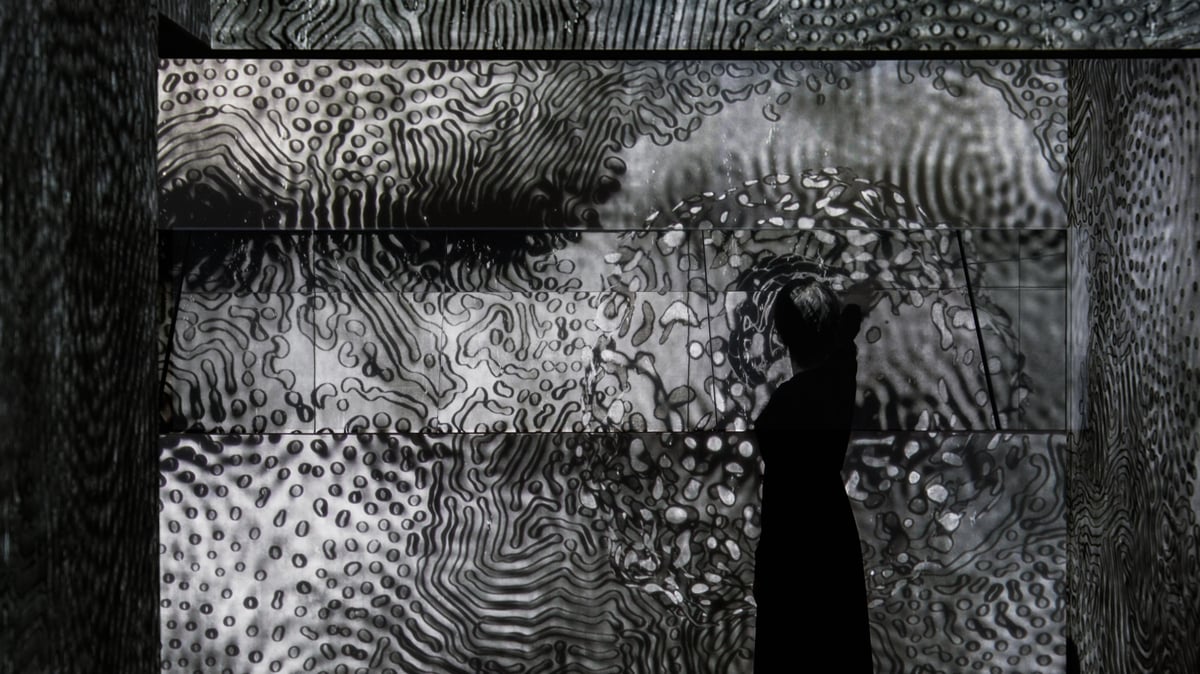 An Existence Without Center or Boundary | teamLab