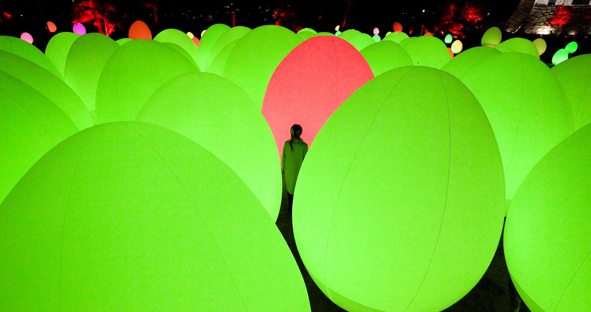 展示テーマ画像