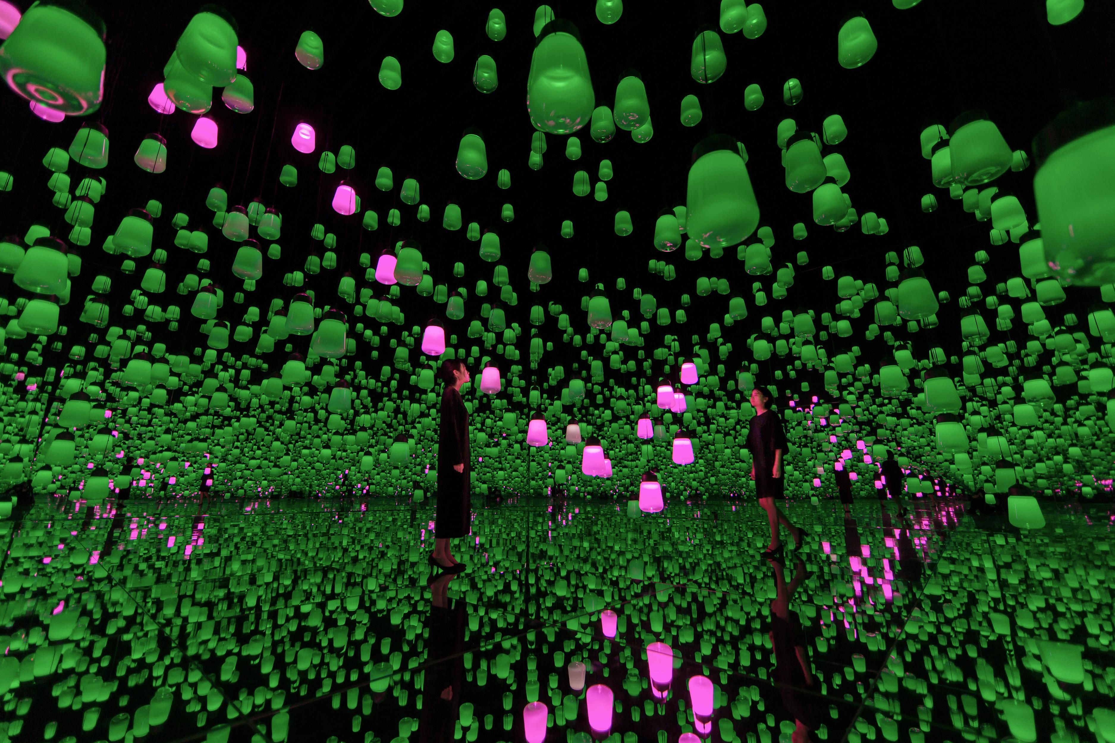 呼応するランプの森 - ワンストローク、ツツジ / Forest of Resonating