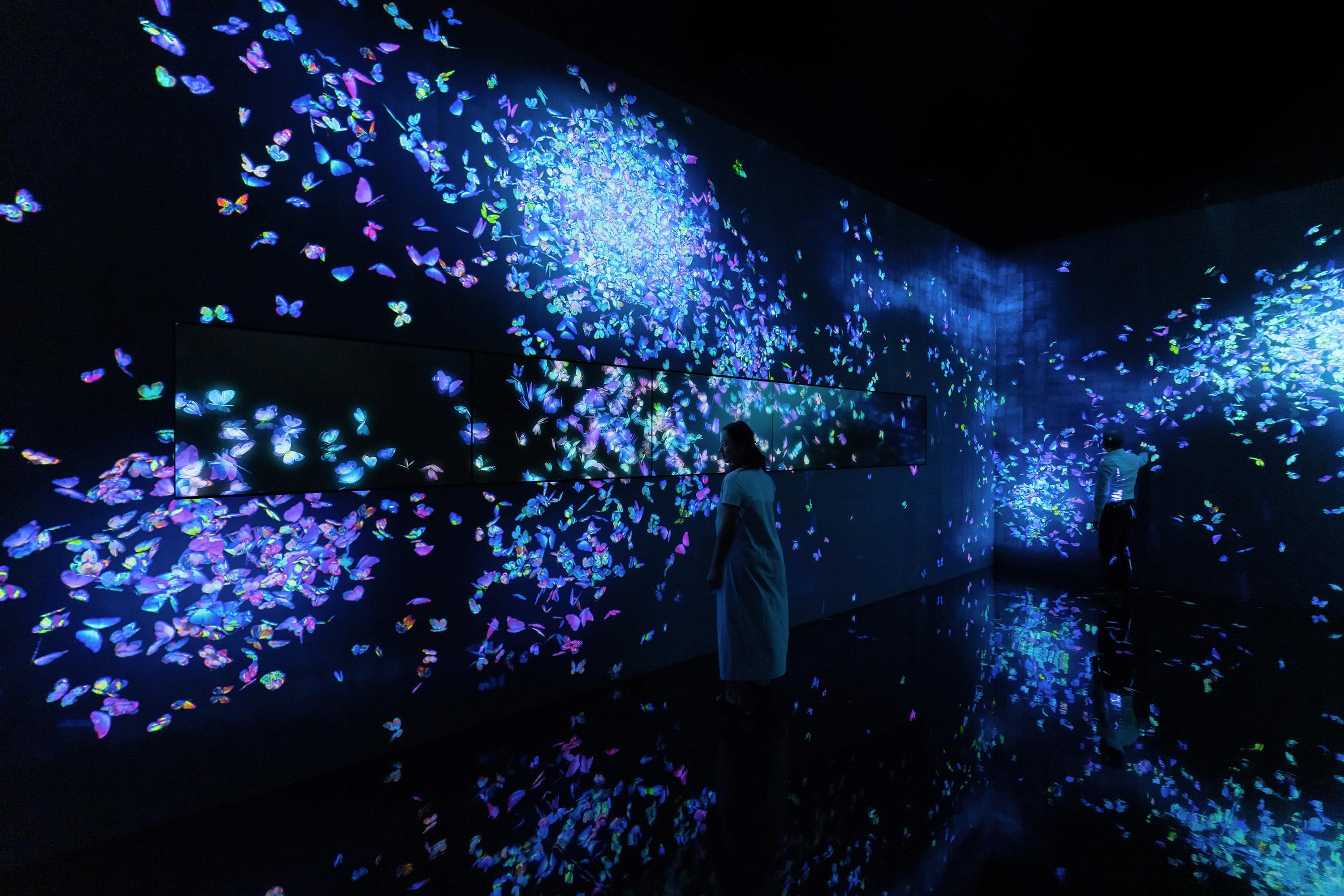 Electronic Butterflies – Skylab Electronic Butterflies