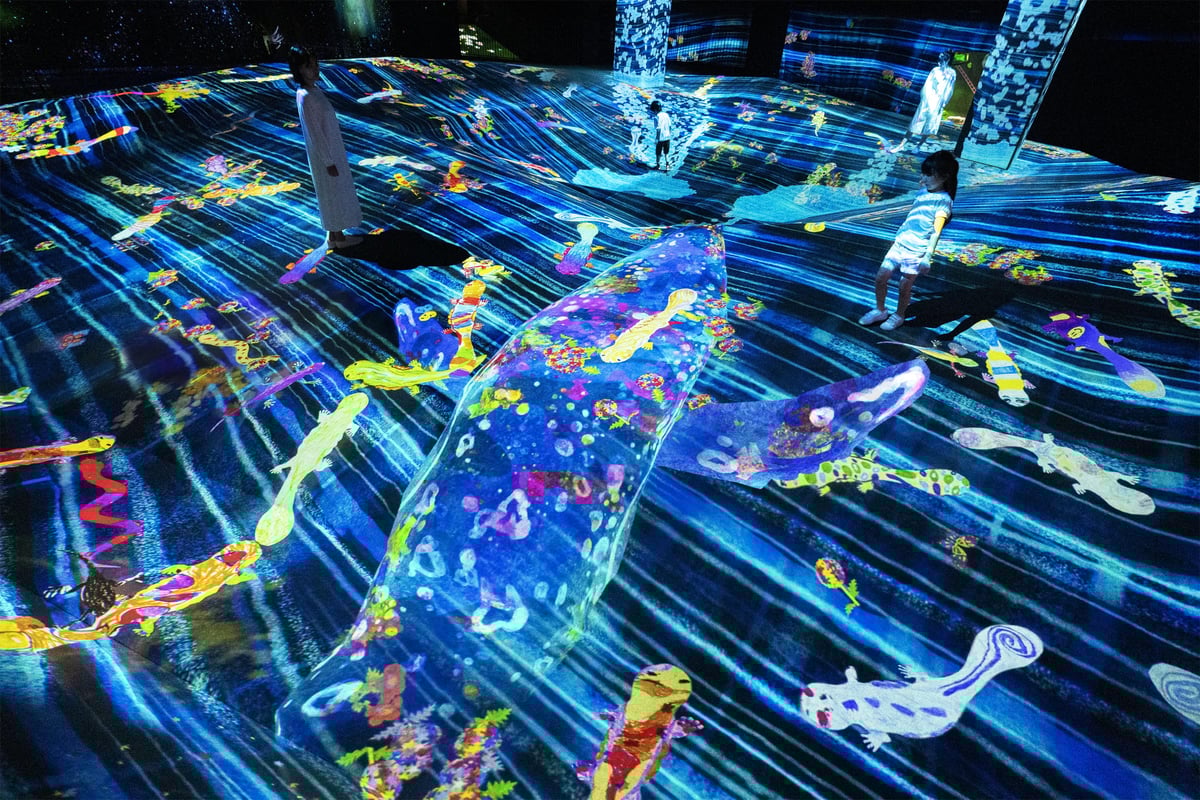 width=1200,format=jpeg