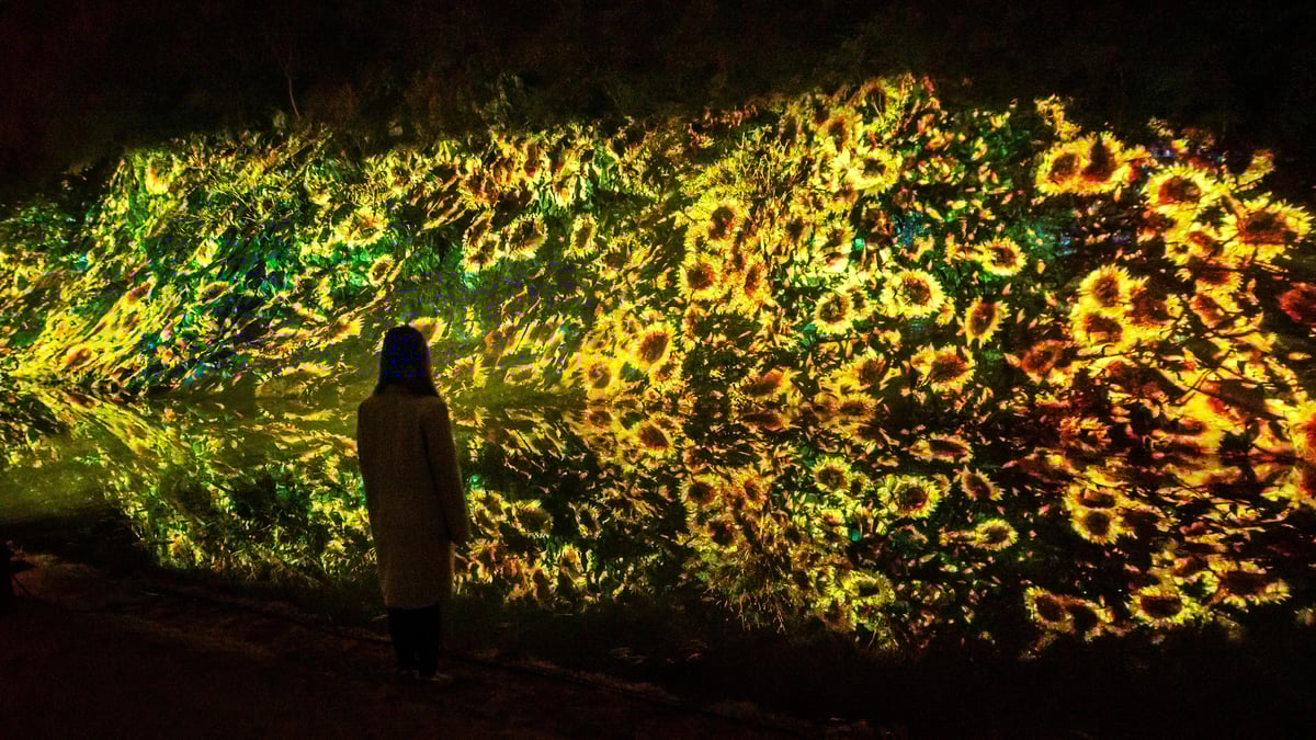 増殖する生命の石壁 - 紫雲山 / Ever Blossoming Life Rock Wall