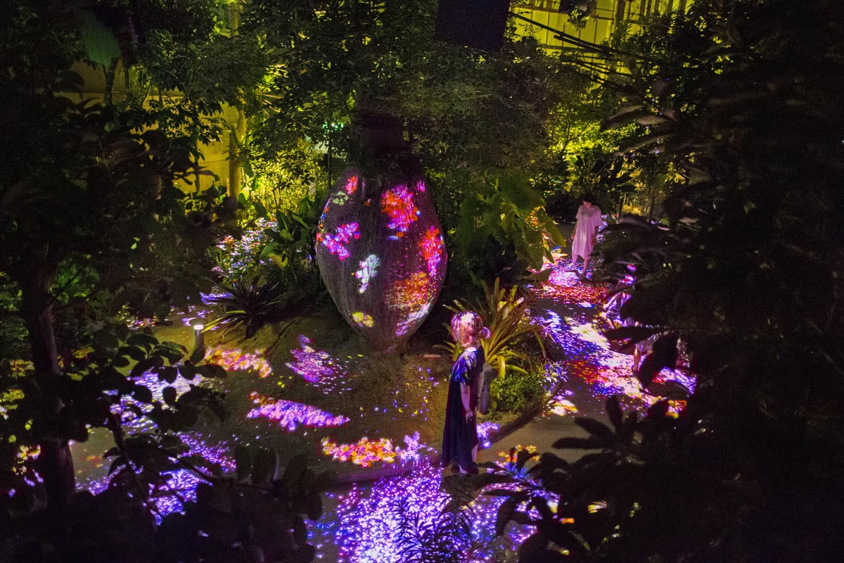 width=1200,format=jpeg