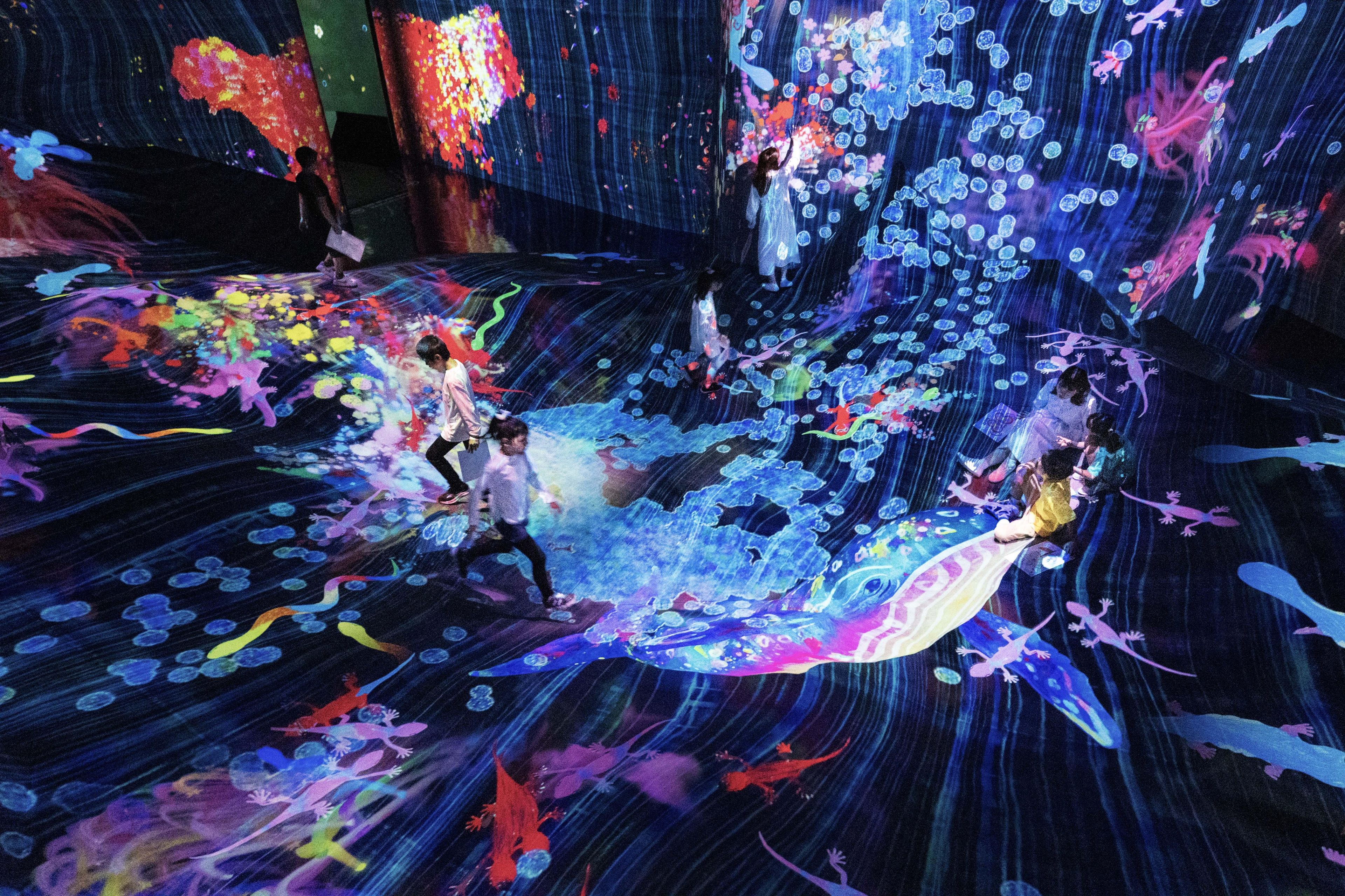 BEARDSLEY LIVETART トロミラフハオリ　インディゴブルー BEARDSLEY LIVETART トロミラフハオリ インディゴブルー CATALOG