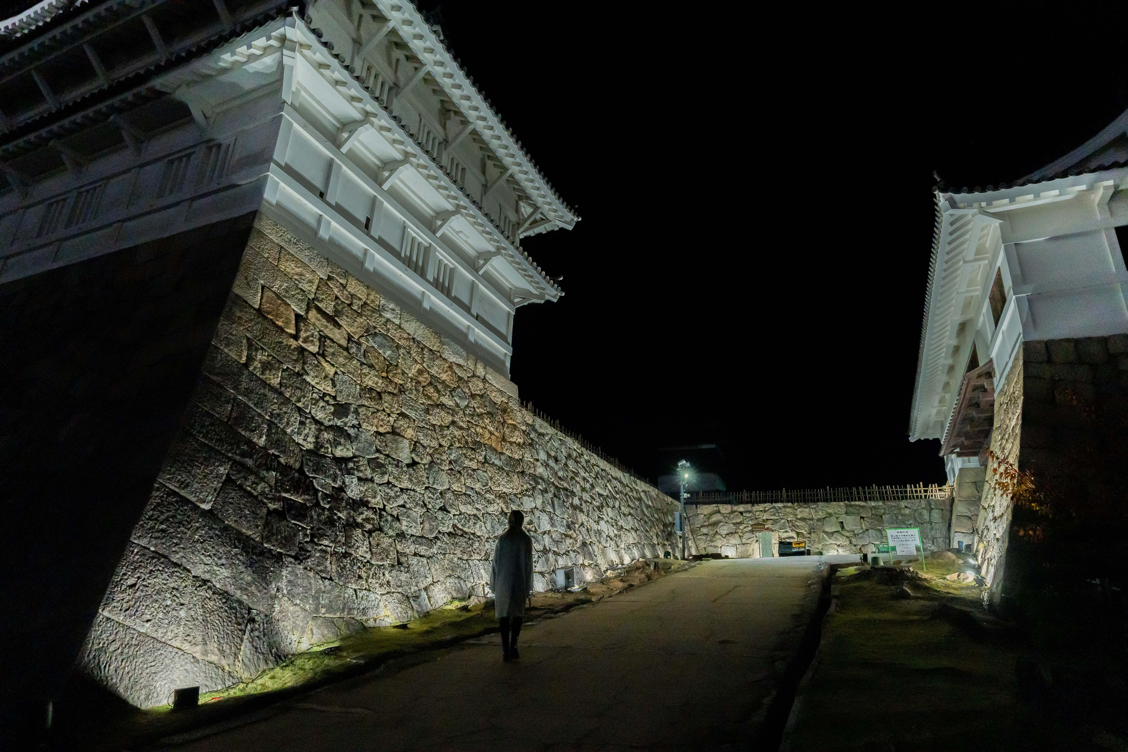 展示テーマ画像