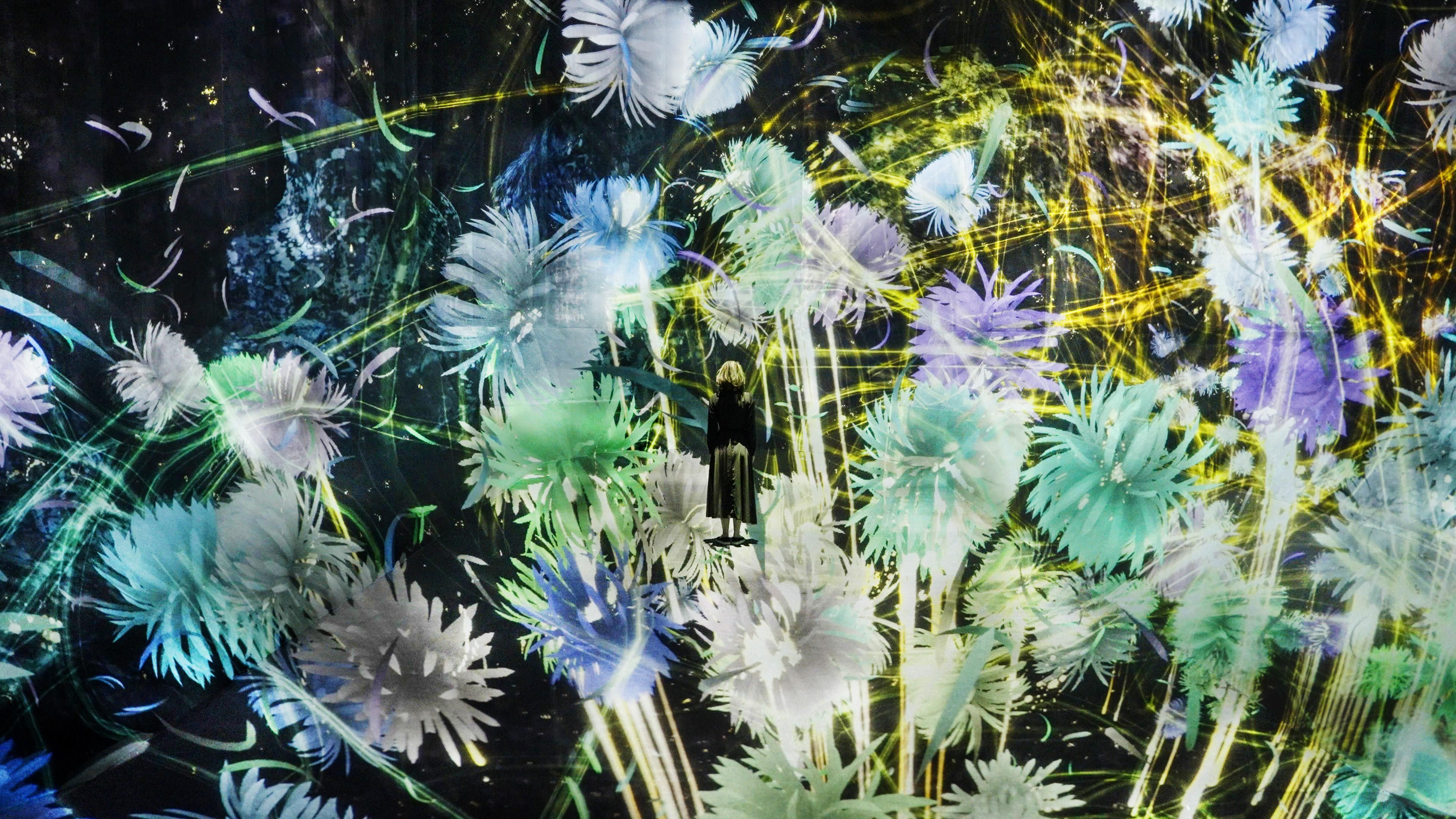 追われるカラス、追うカラスも追われるカラス：虚空の宇宙