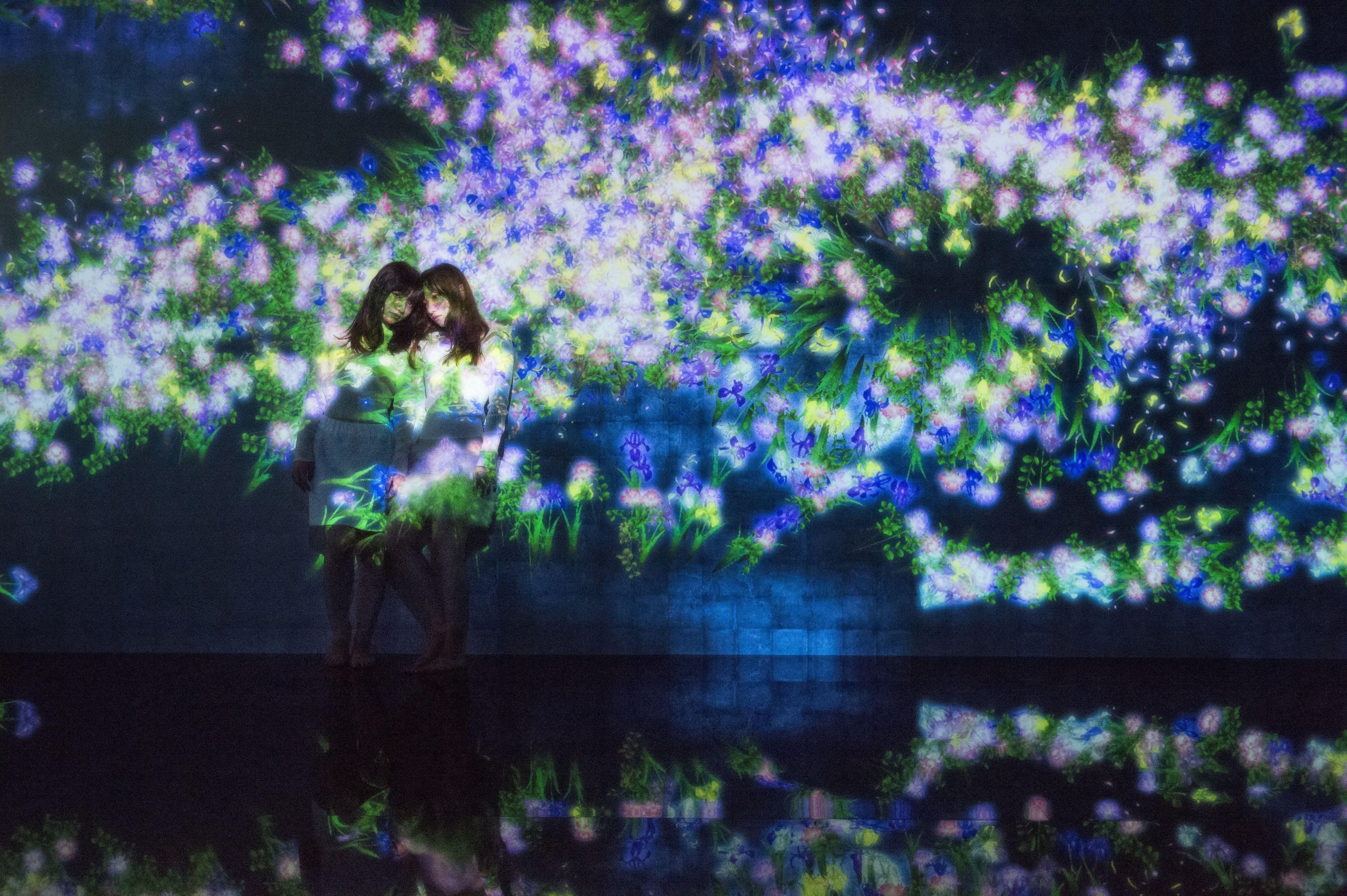 近くの展示画像