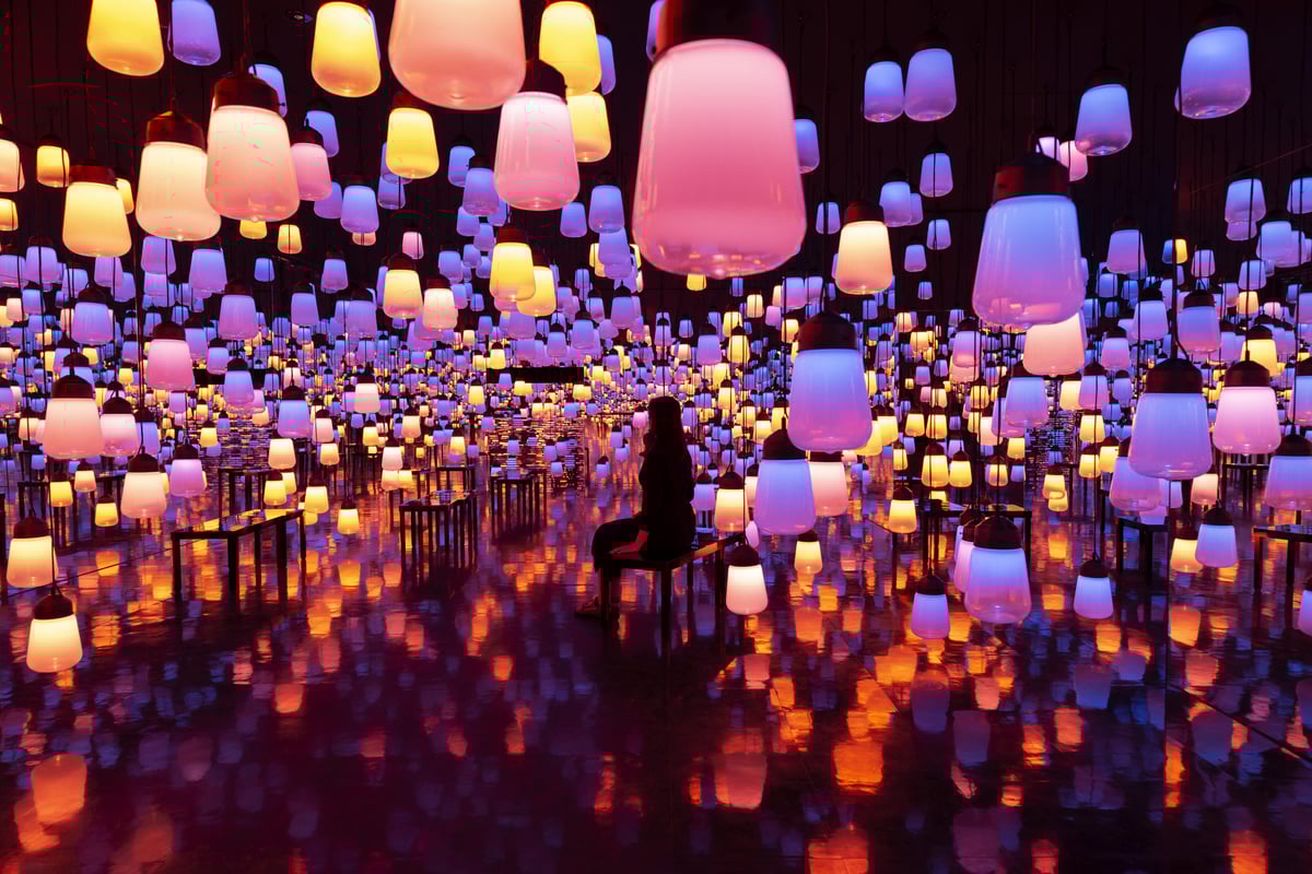 width=1200,format=jpeg