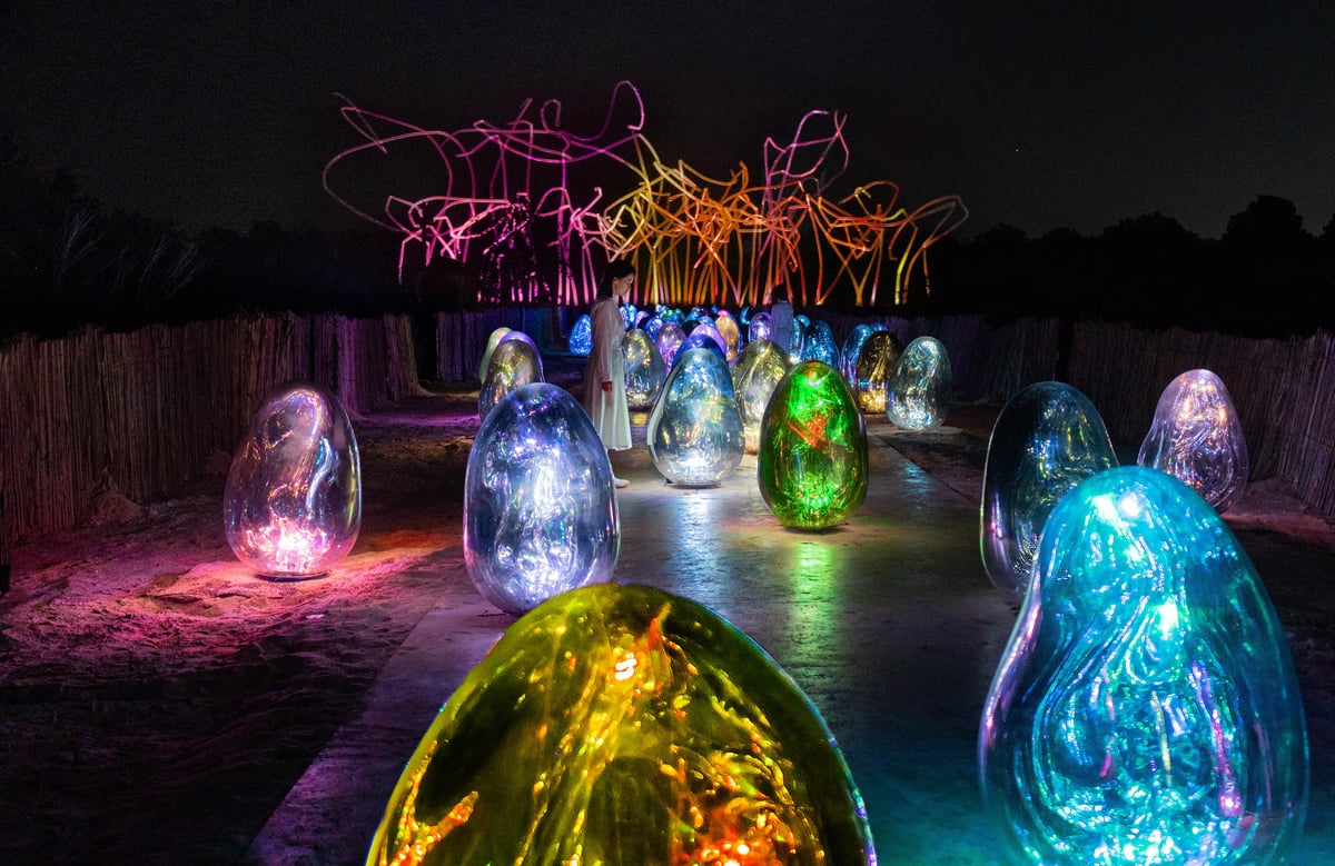 Resonating Microcosms - Solidified Light Color | teamLab