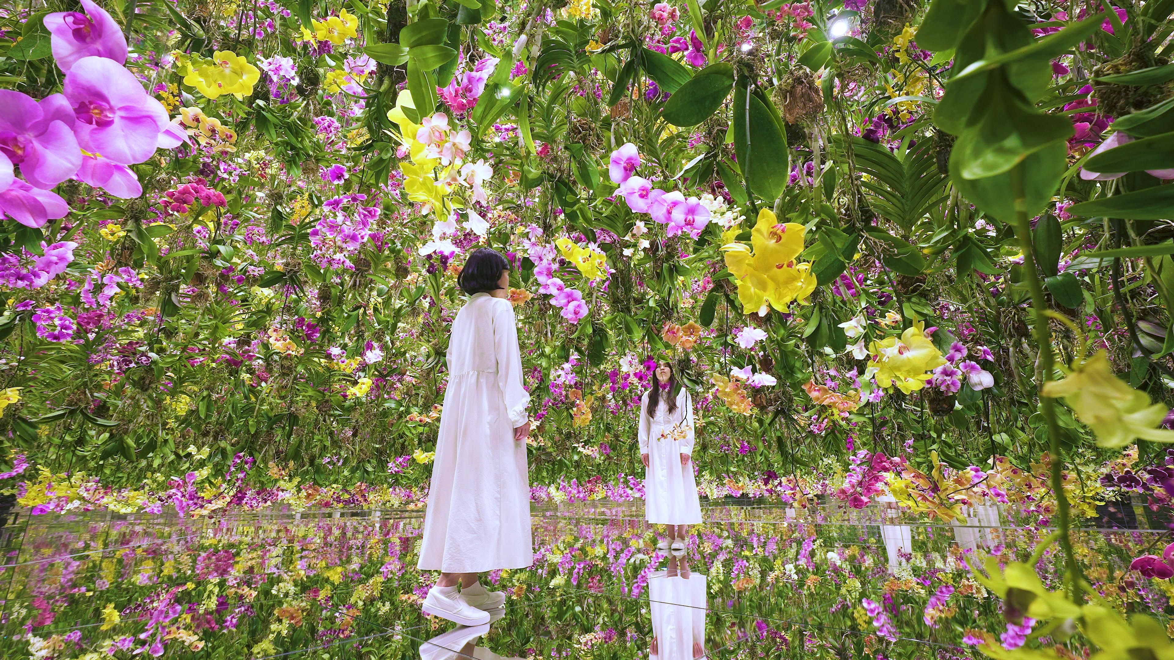 Floating Flower Garden: Flowers and I are of the Same Root