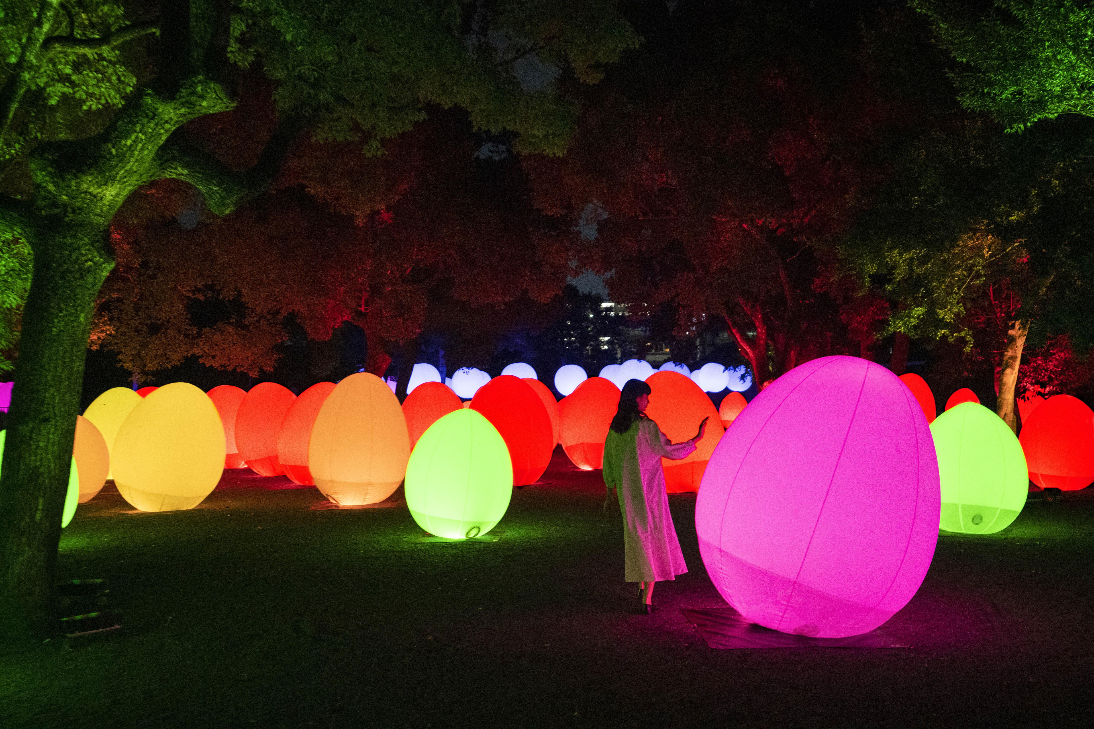 展示テーマ画像