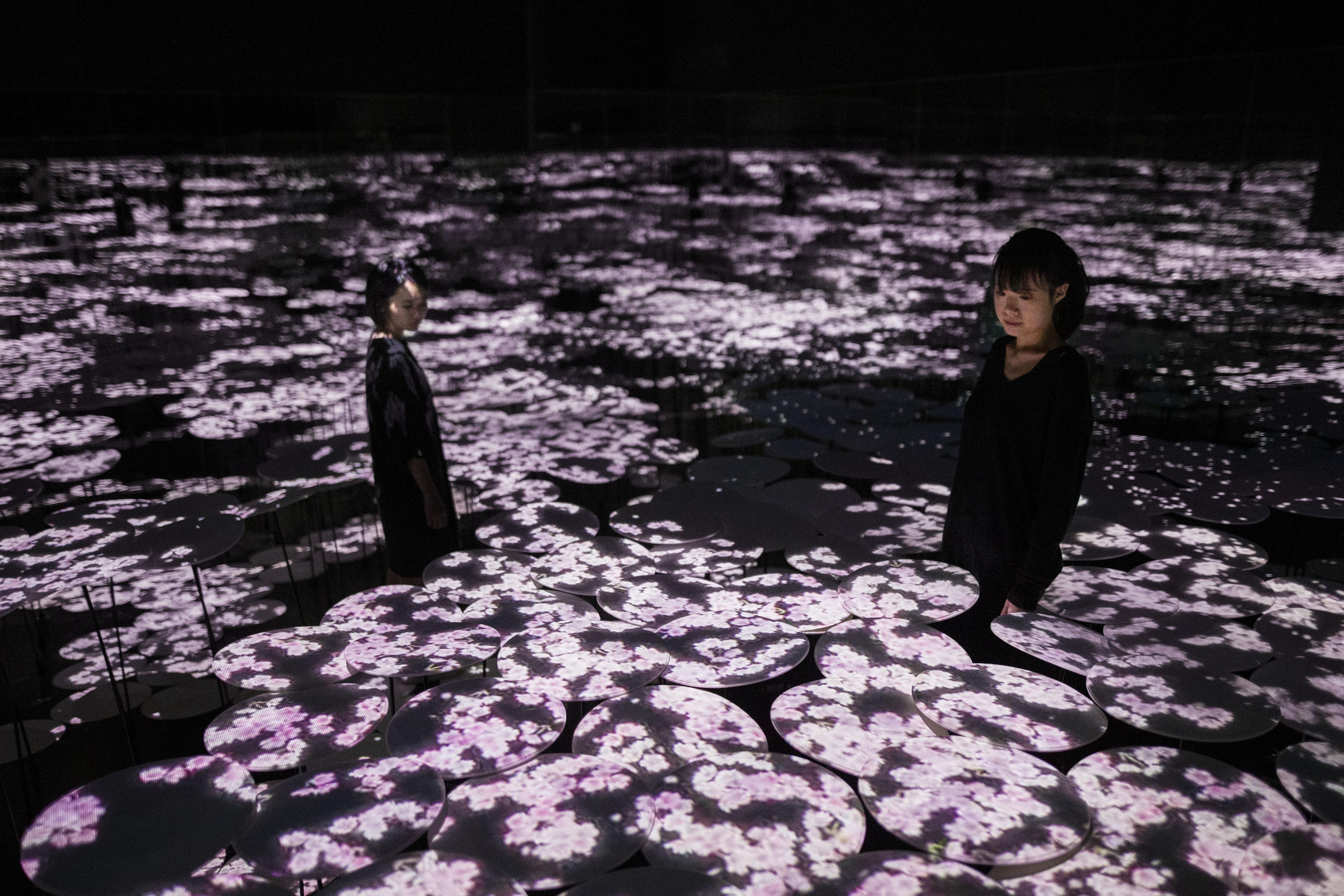 ウルトラプロ公式 ライフカウンター 水蓮の谷間 未開封 Lotus Vale 2025年最新】水蓮の谷間の人気アイテム - メルカリ
