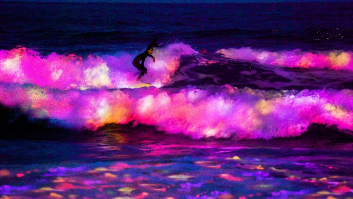 width=1200,format=jpeg