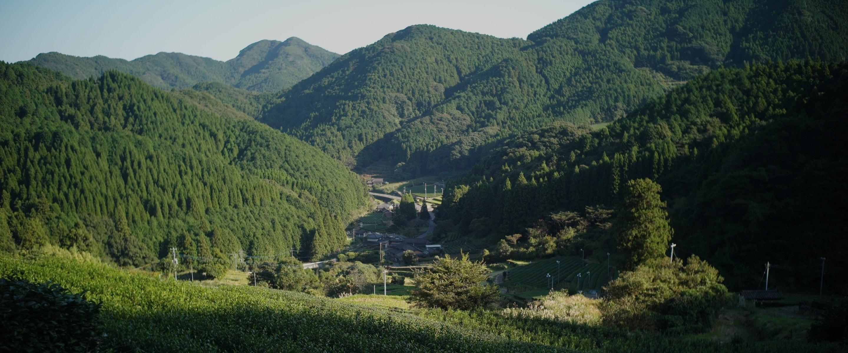 展示テーマ画像