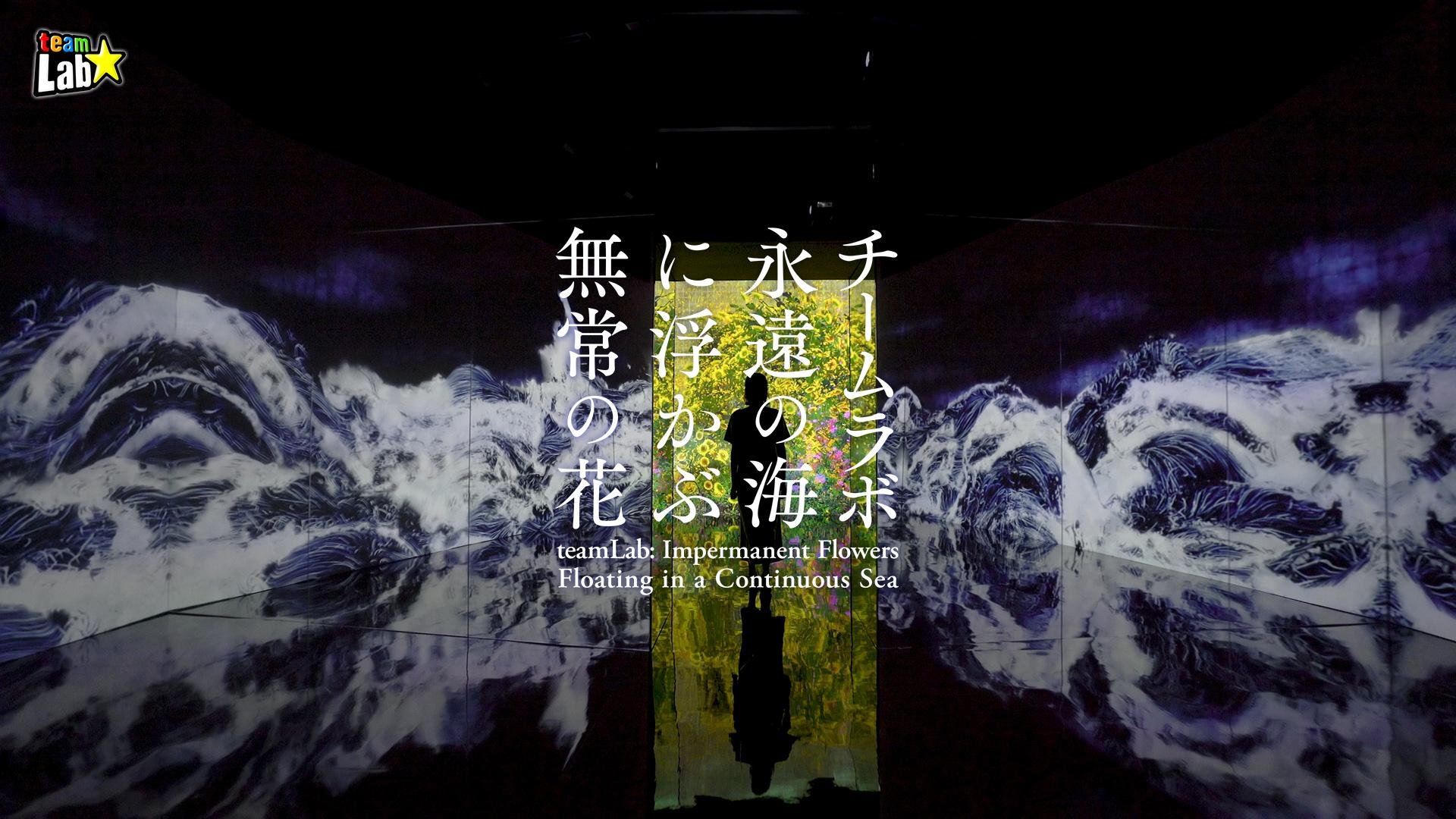 たぶん未開封】Borderless : Visual art works ① たぶん未開封