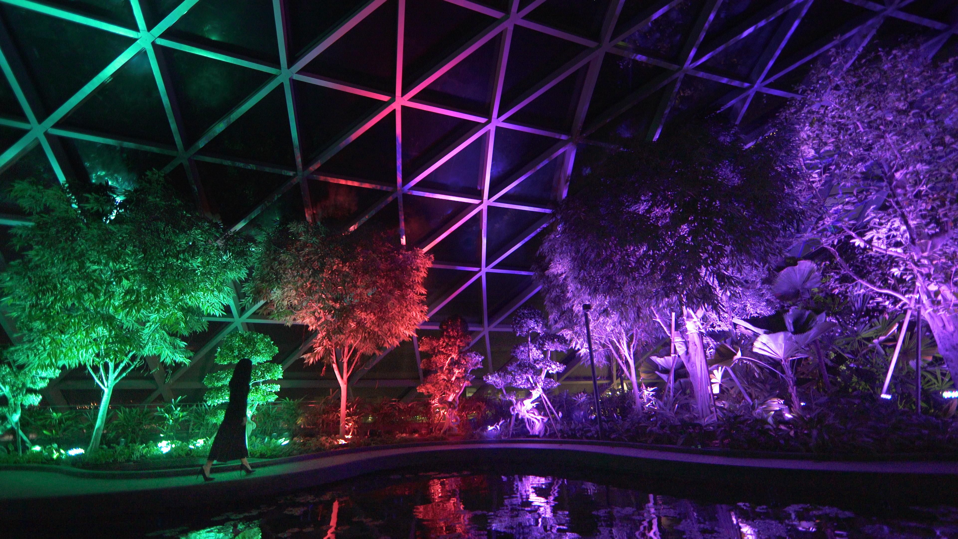 TREASURE nightgarden 展示ポラロイド ジフン teamLab: Hidden Traces of Rice Terraces🌳🌌🎨 