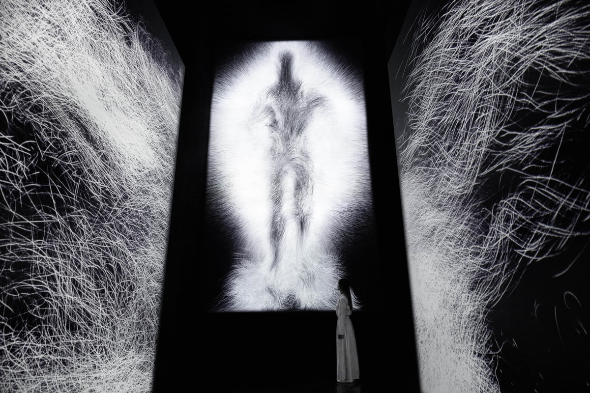 Dissipative Figures – Human, Light in Dark | teamLab