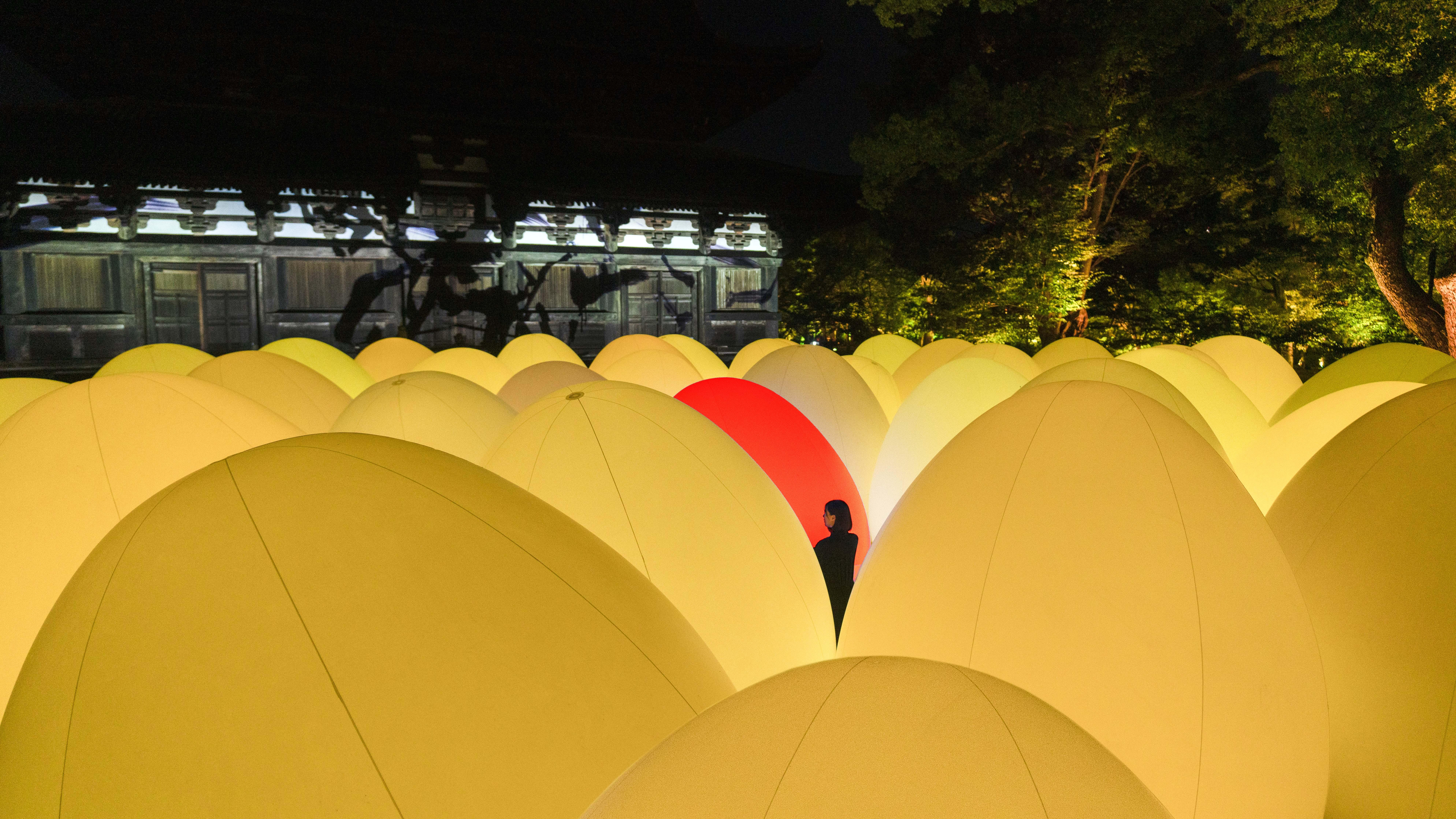 展示テーマ画像