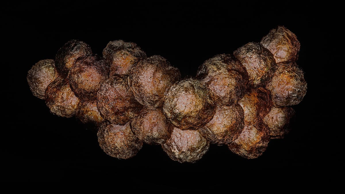 銅の化石 / Copper Fossils | teamLab / チームラボ