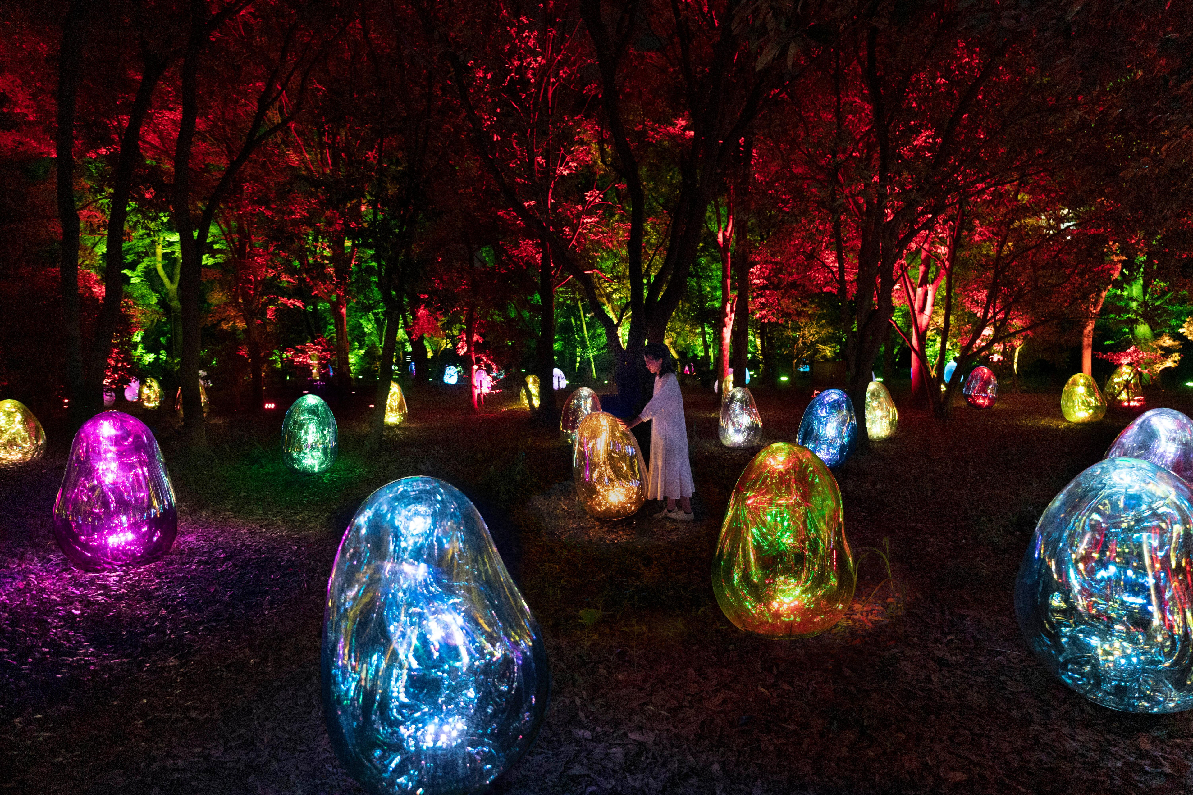 Official] teamLab Botanical Garden Osaka | teamLab Night