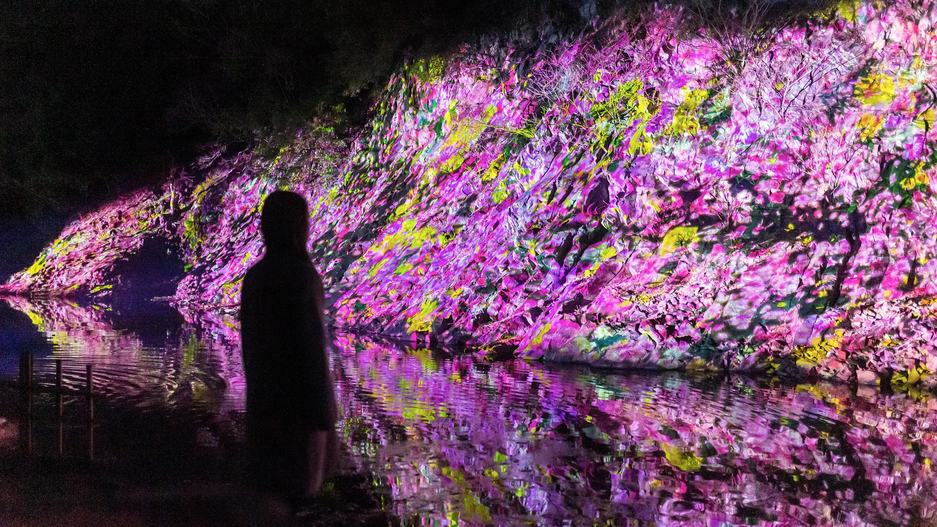 増殖する生命の石壁 - 紫雲山 / Ever Blossoming Life Rock Wall